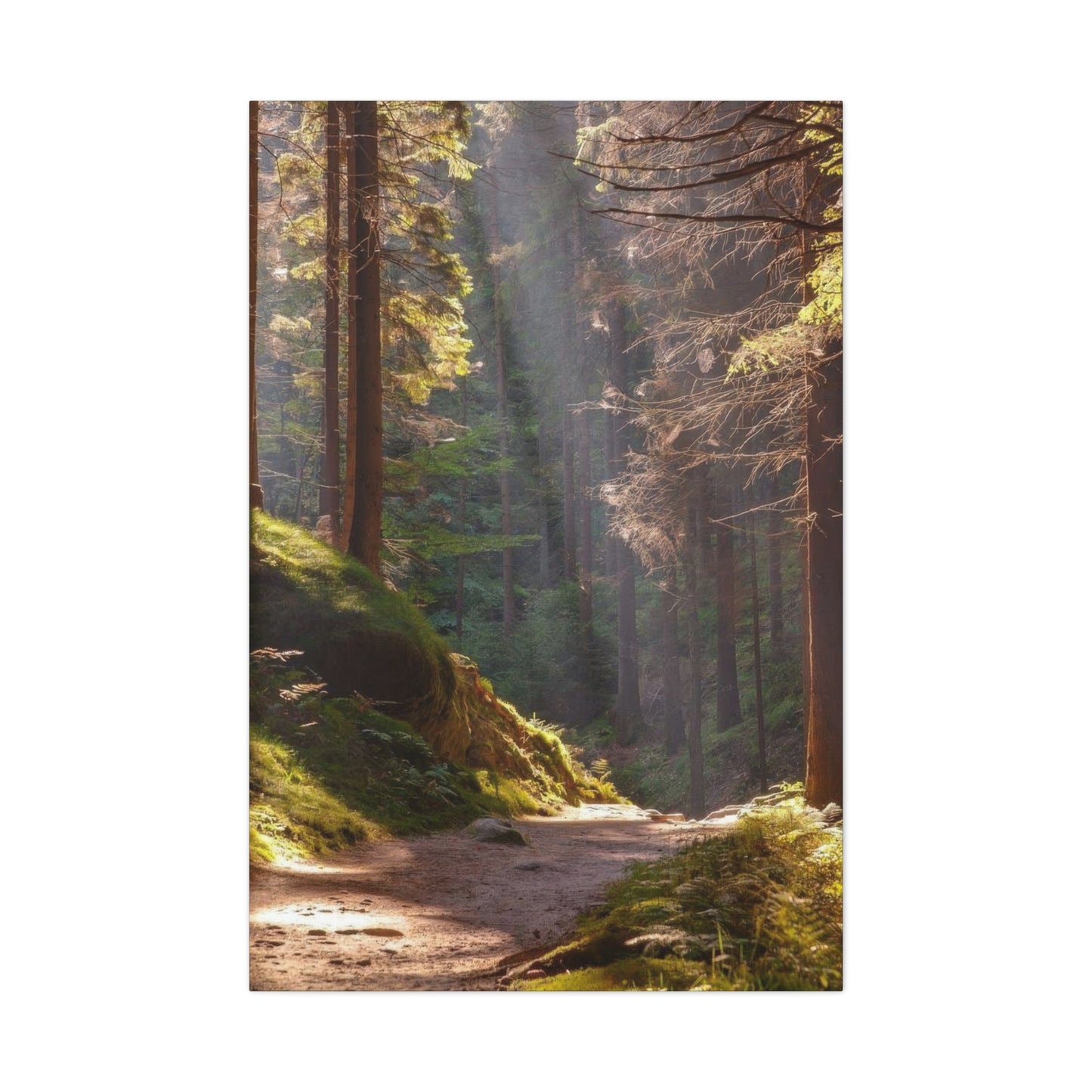 Autumn Forest Path Wall Art & Canvas Prints