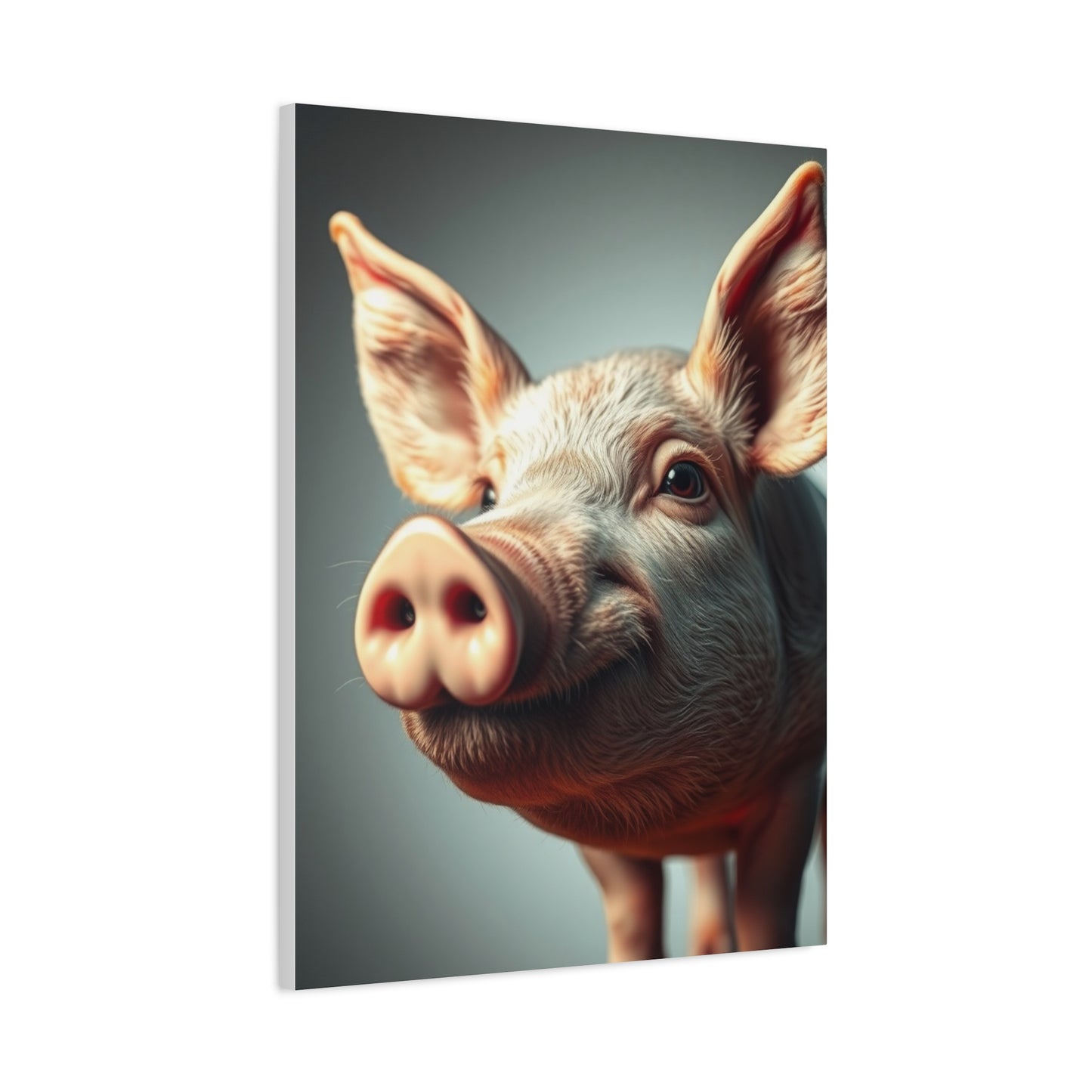 Pig Art Canvas Art 4 Wall Art & Canvas Print