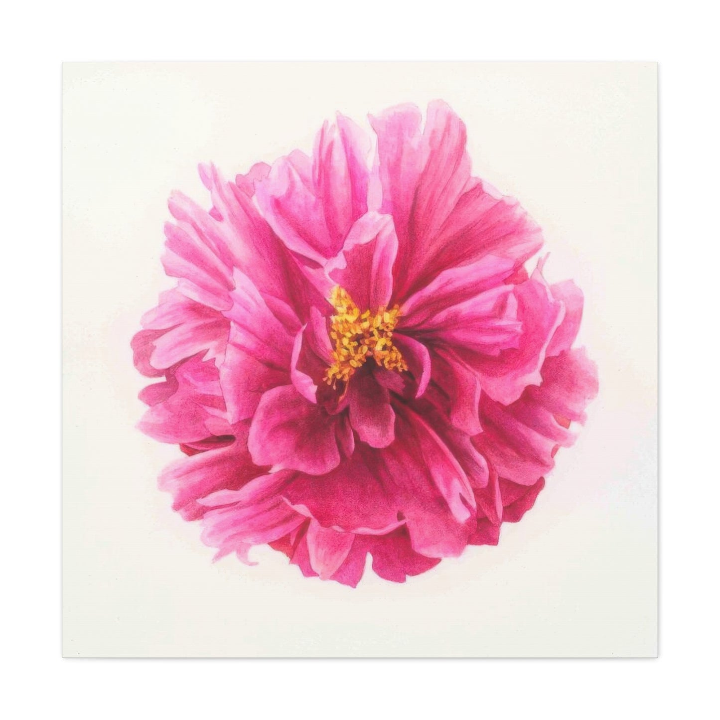 Grace Popp Pink Flower Head Wall Art & Canvas Prints