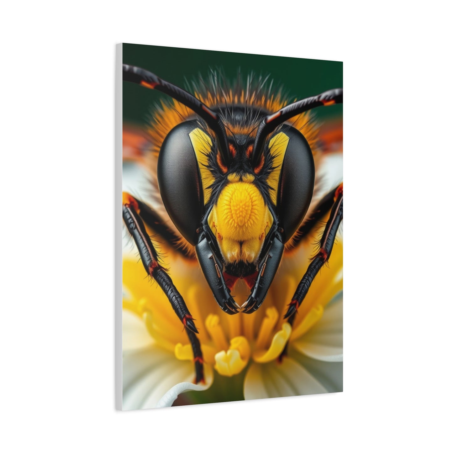 Bees, Hornet & Wasps Art Canvas Art 5 Wall Art & Canvas Print