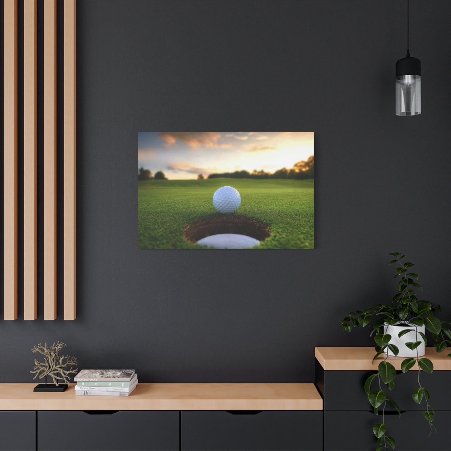Golf Ball Cup Closeup Wall Art & Canvas Prints