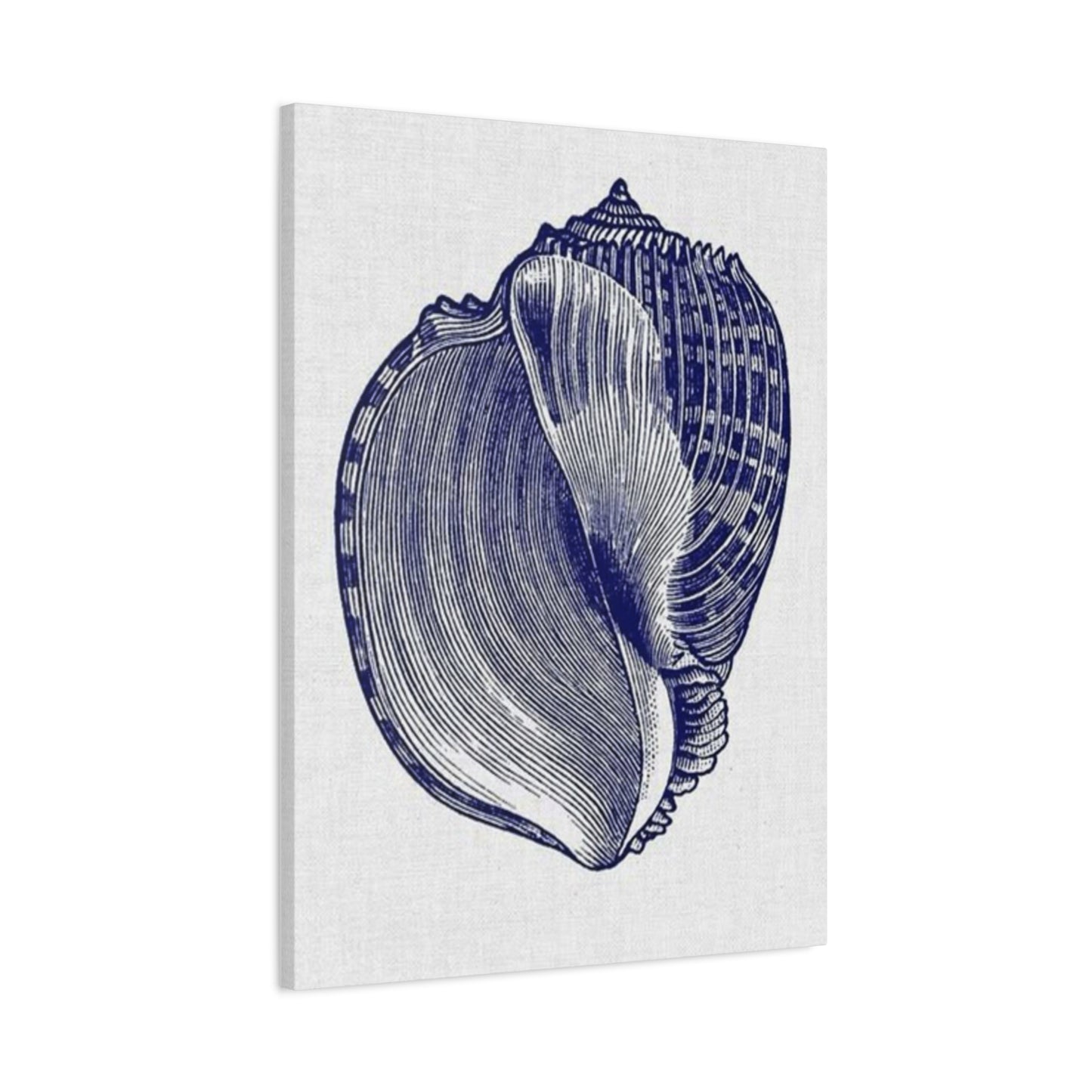 Beautiful Blue Shell Shape Drawing Wall Art & Canvas Prints