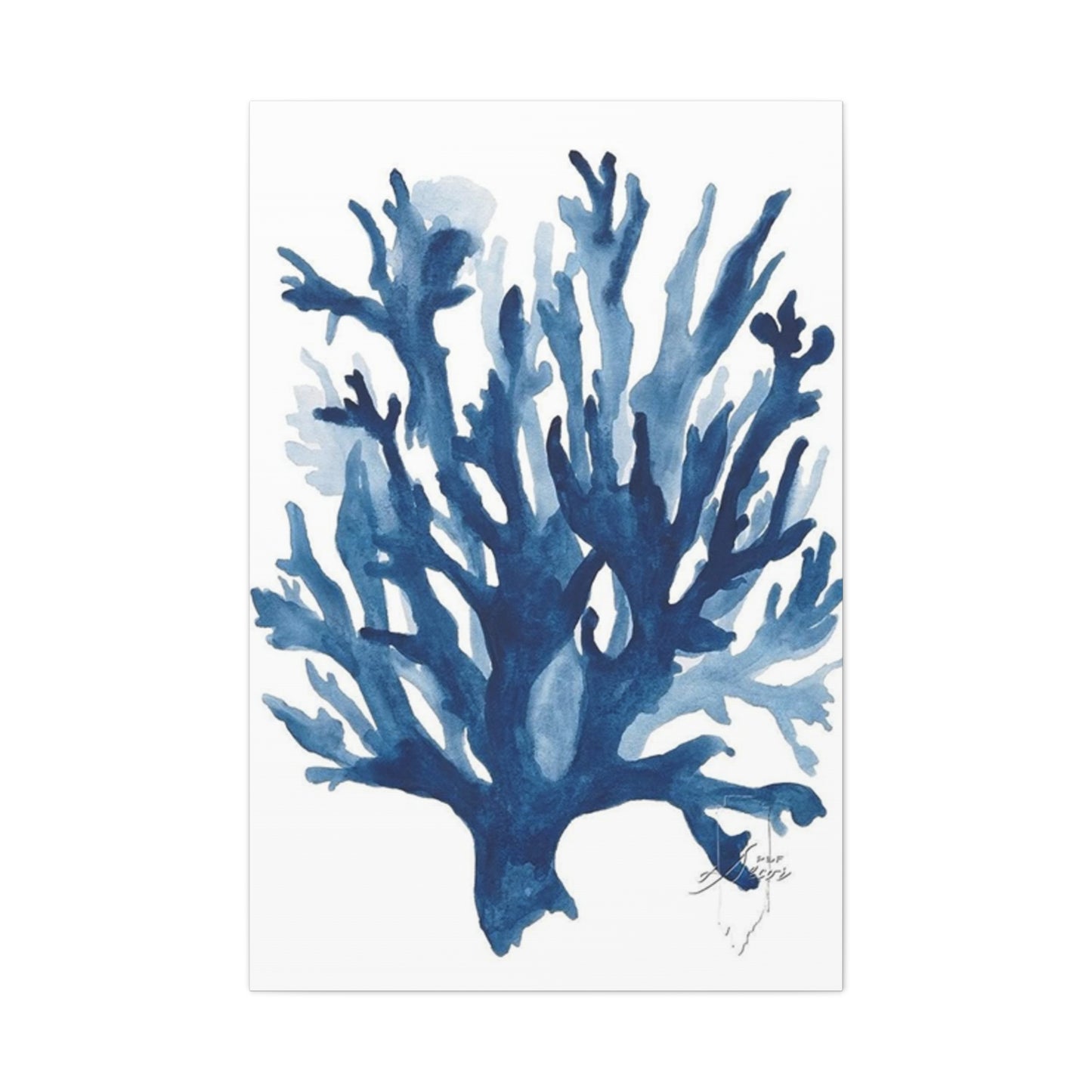 Amazing Sea Shells Stems Poster Wall Art & Canvas Prints