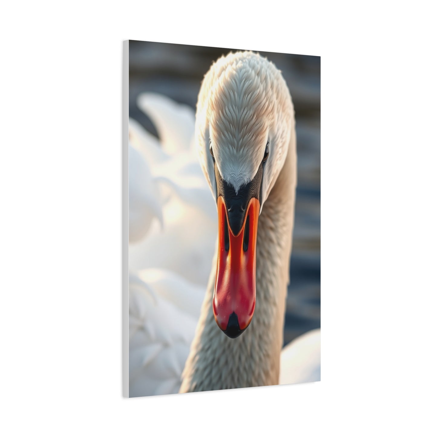 Swan Art Canvas Art 4 Wall Art & Canvas Print