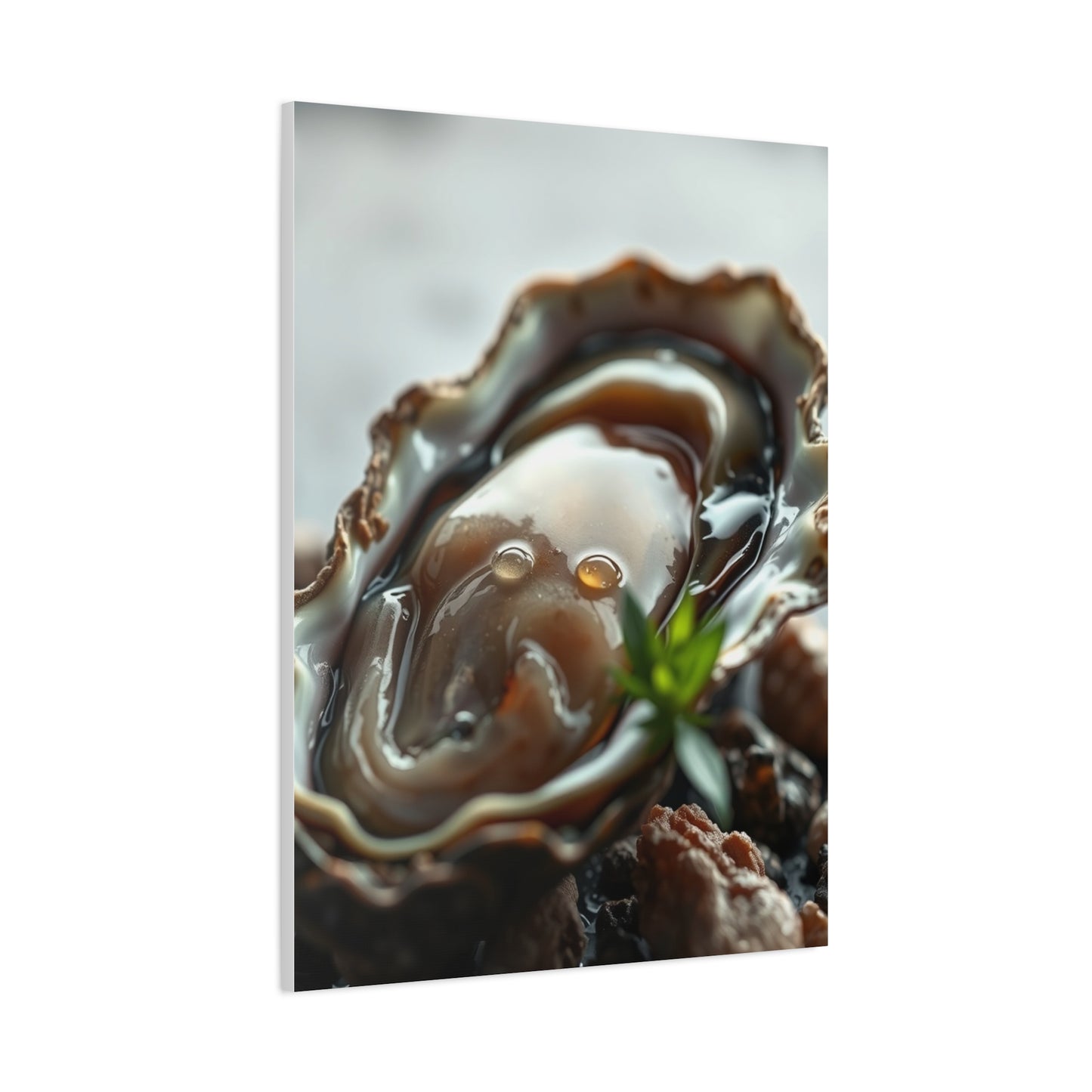 Oyster Art Canvas Art 1 Wall Art & Canvas Print