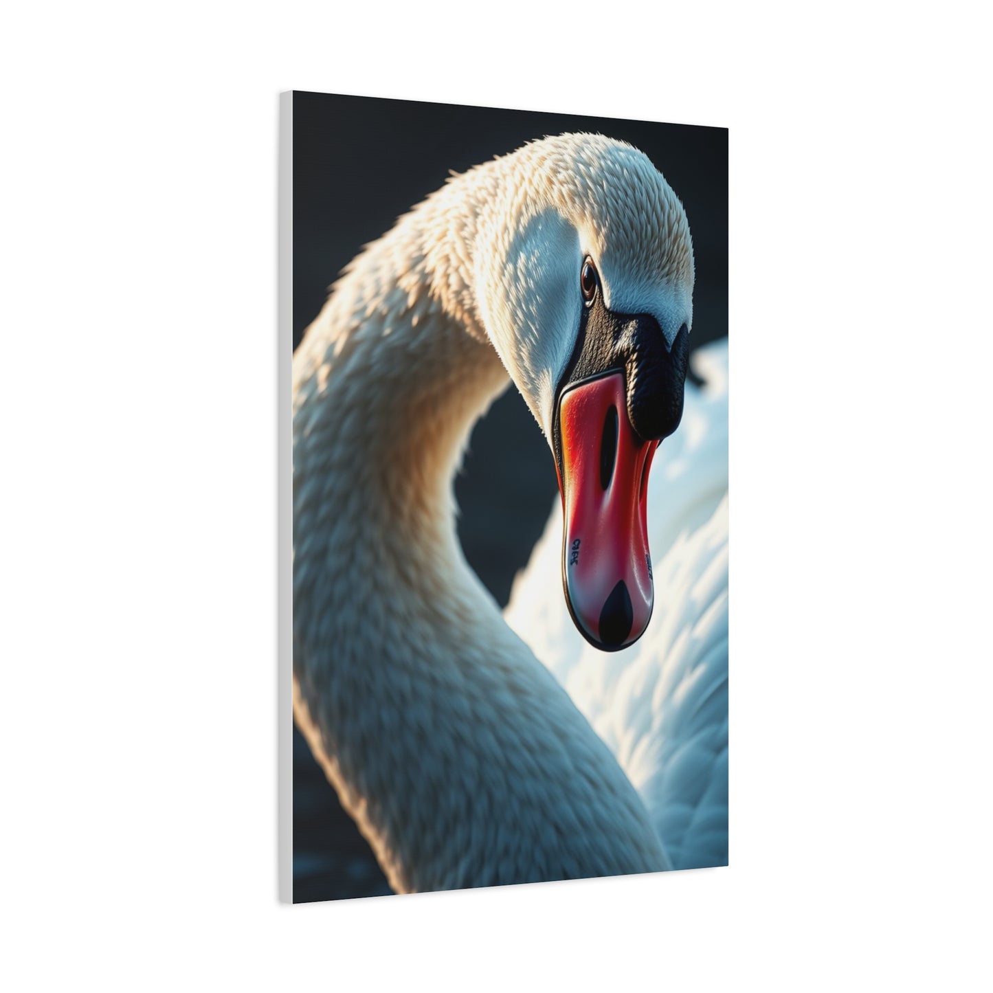 Swan Art Canvas Art 3 Wall Art & Canvas Print