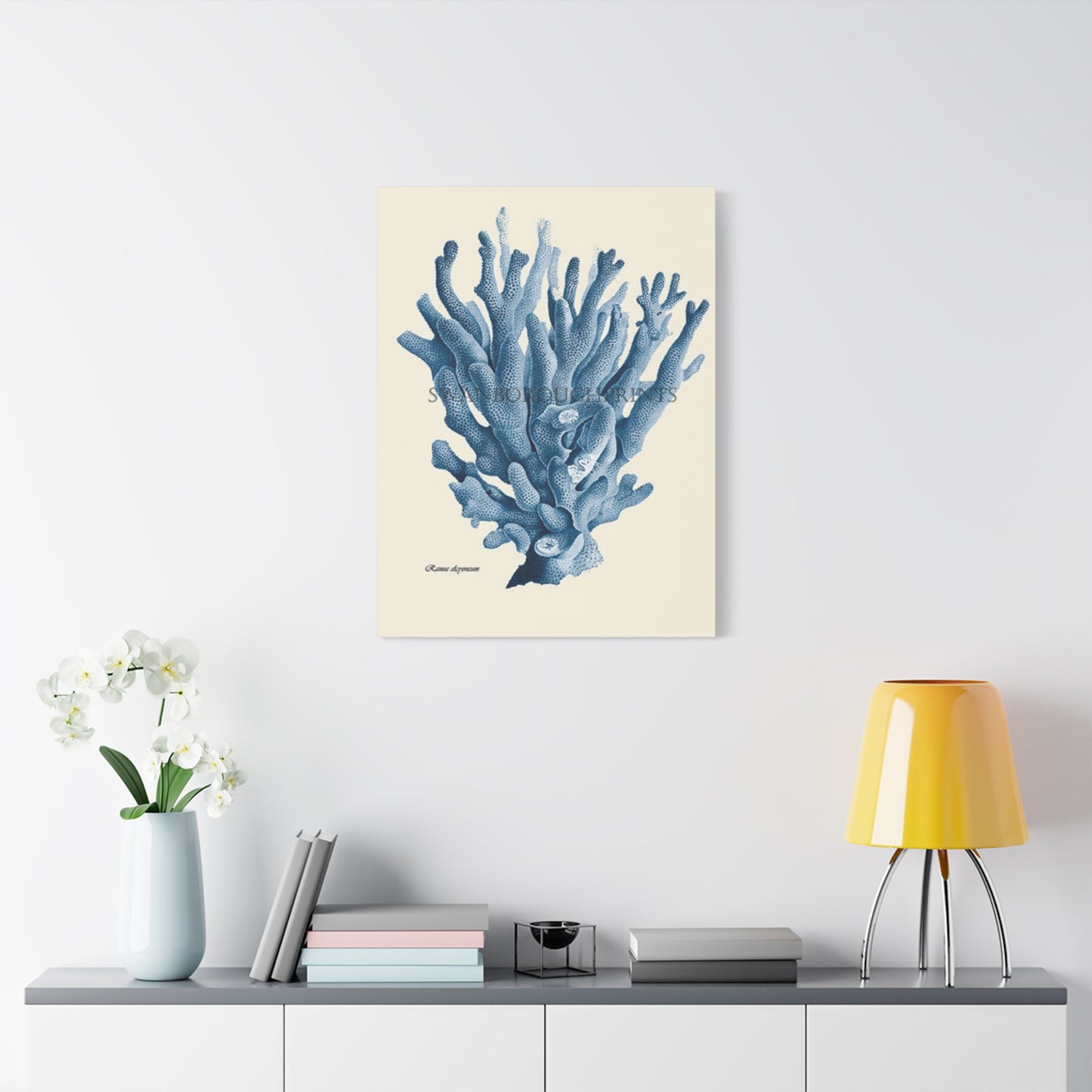 Beautiful Blue Shell Stem Poster Wall Art & Canvas Prints