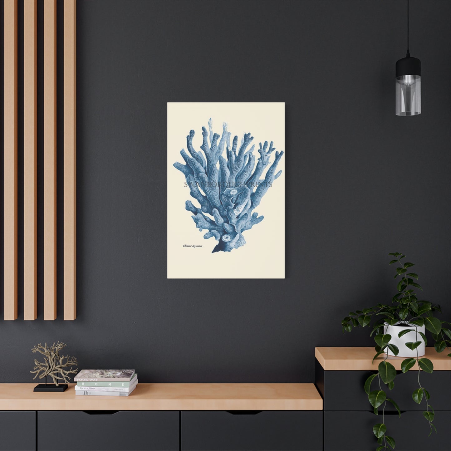 Beautiful Blue Shell Stem Poster Wall Art & Canvas Prints