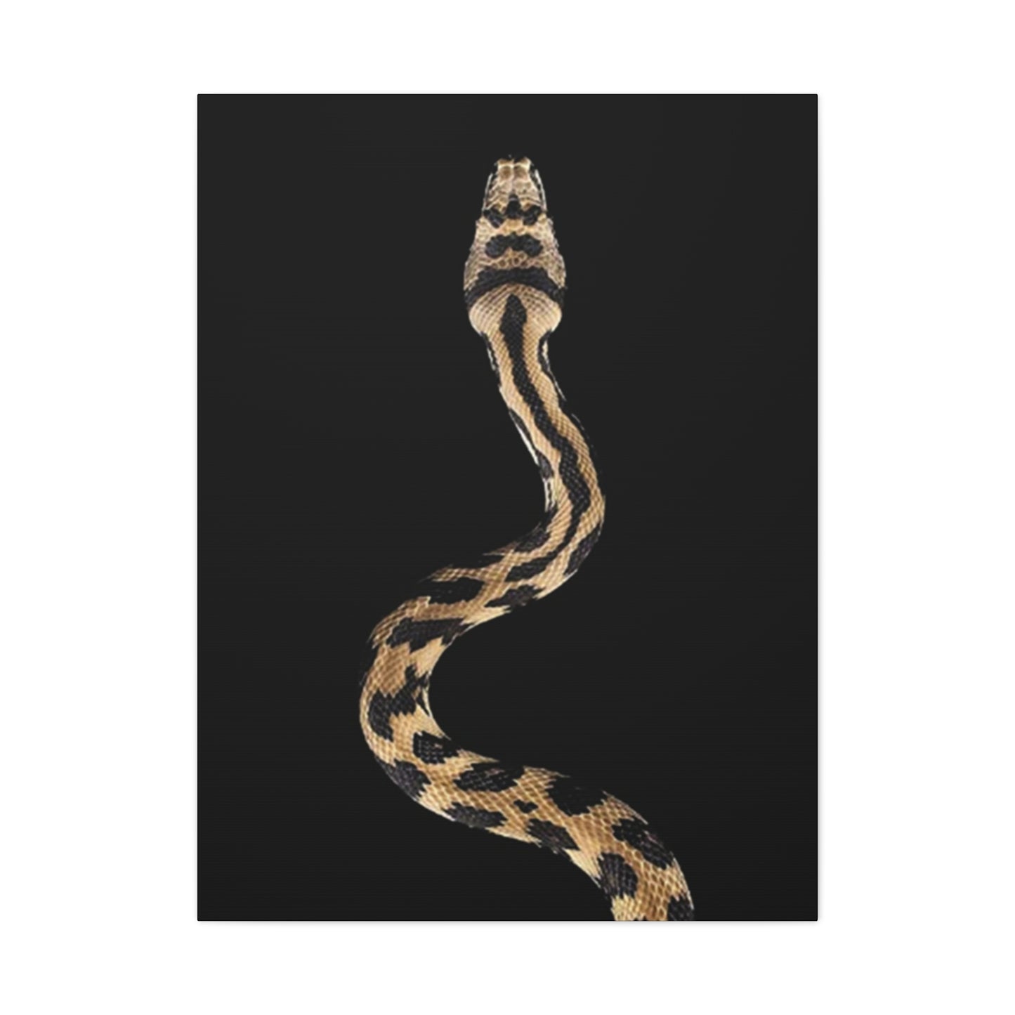 Snake On Poster Wall Art & Canvas Prints