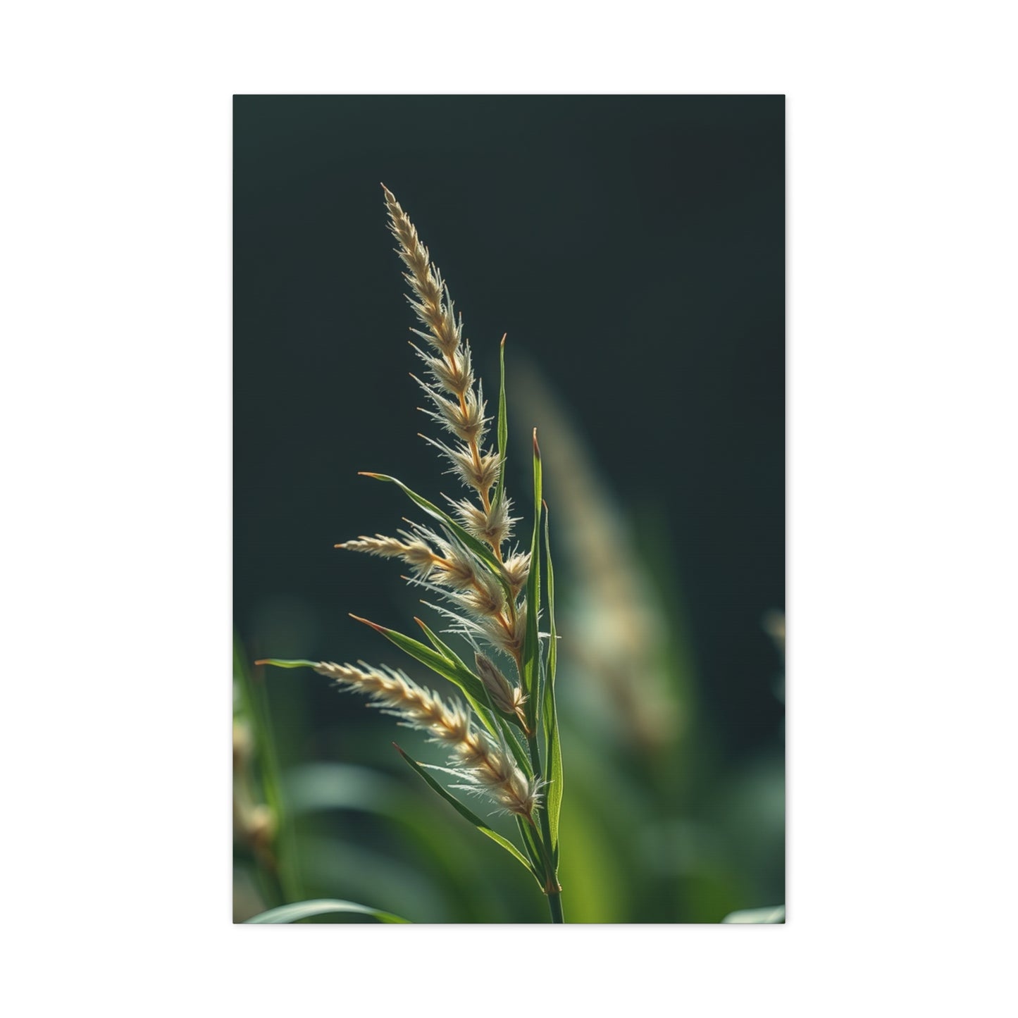 Weed Art Premium Canvas 19 Wall Art & Canvas Print