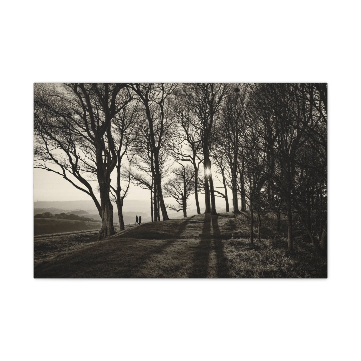 Forest Path at Dawn Wall Art & Canvas Prints