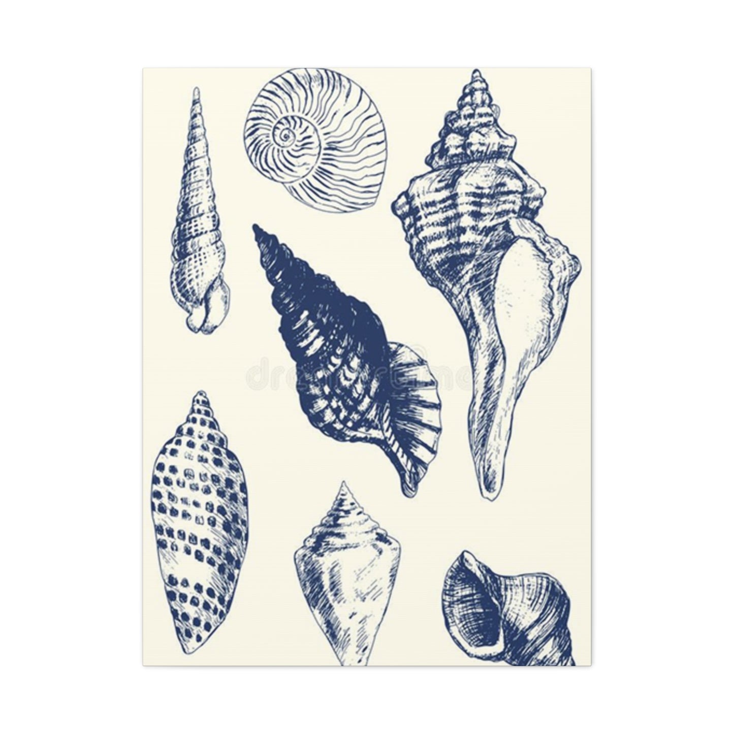 Blue Different Shell Shapes Drawing Wall Art & Canvas Prints