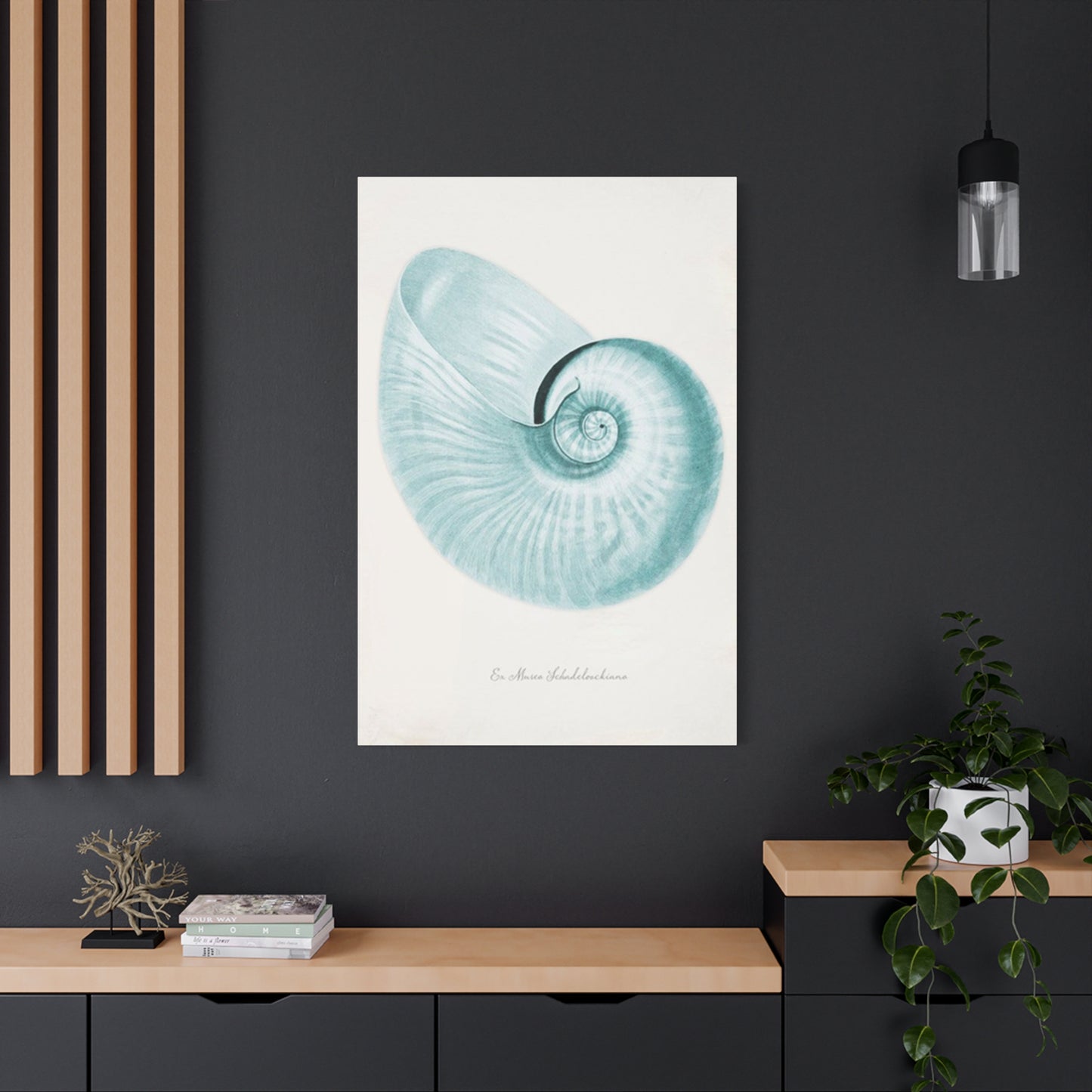 Beautiful Blue Shell Shapes Wall Art & Canvas Prints
