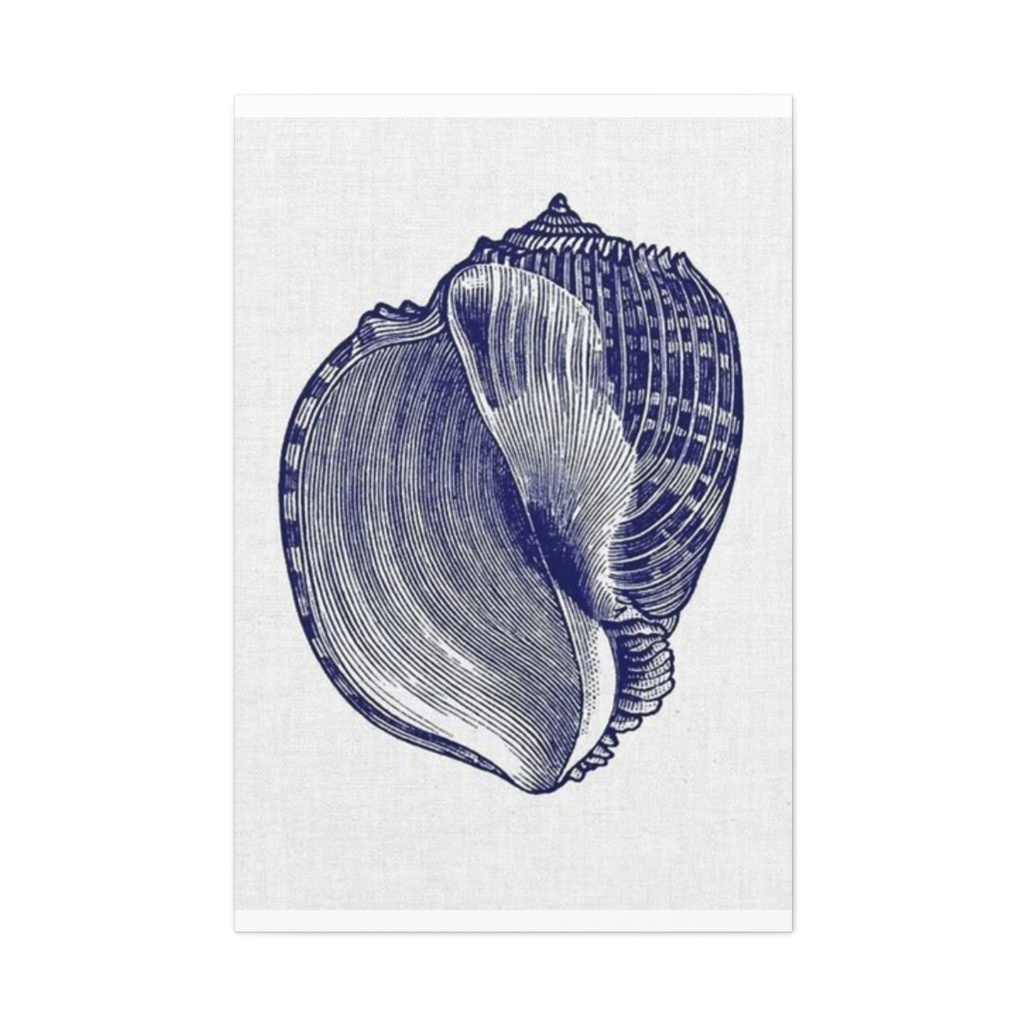 Beautiful Blue Shell Shape Drawing Wall Art & Canvas Prints