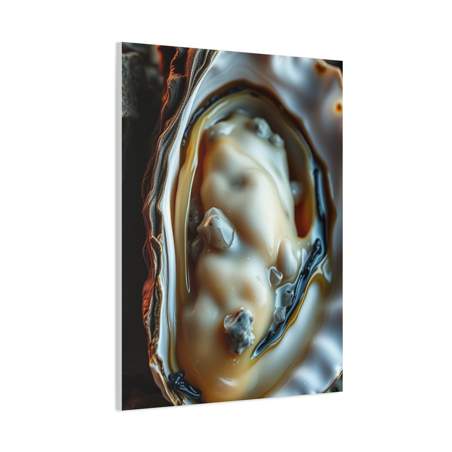 Oyster Art Canvas Art 3 Wall Art & Canvas Print