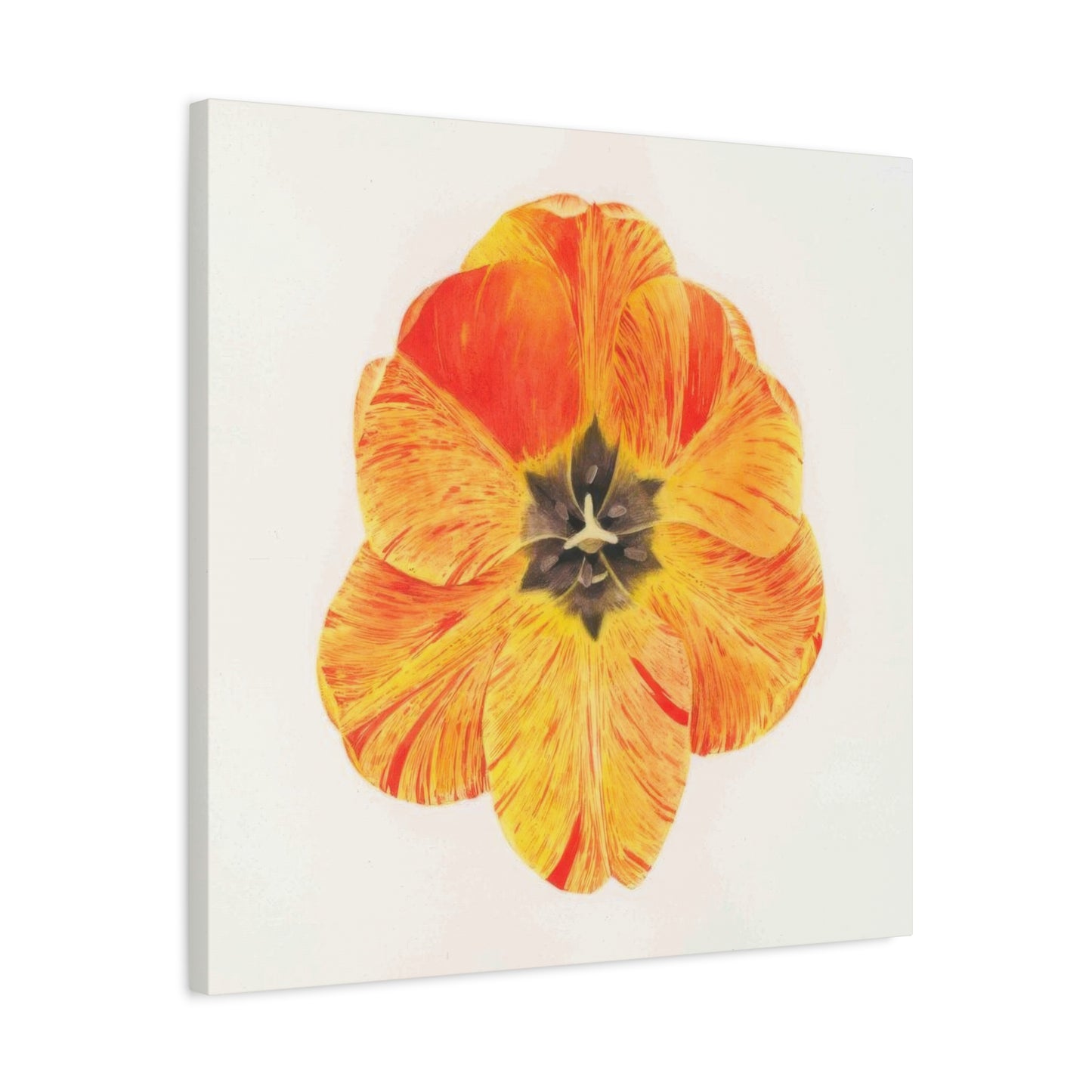 Grace Popp Orange Flower Head Wall Art & Canvas Prints