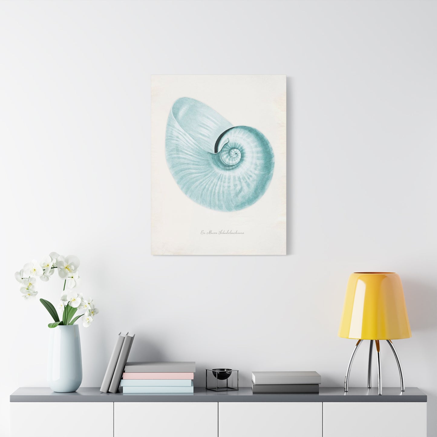 Beautiful Blue Shell Shapes Wall Art & Canvas Prints