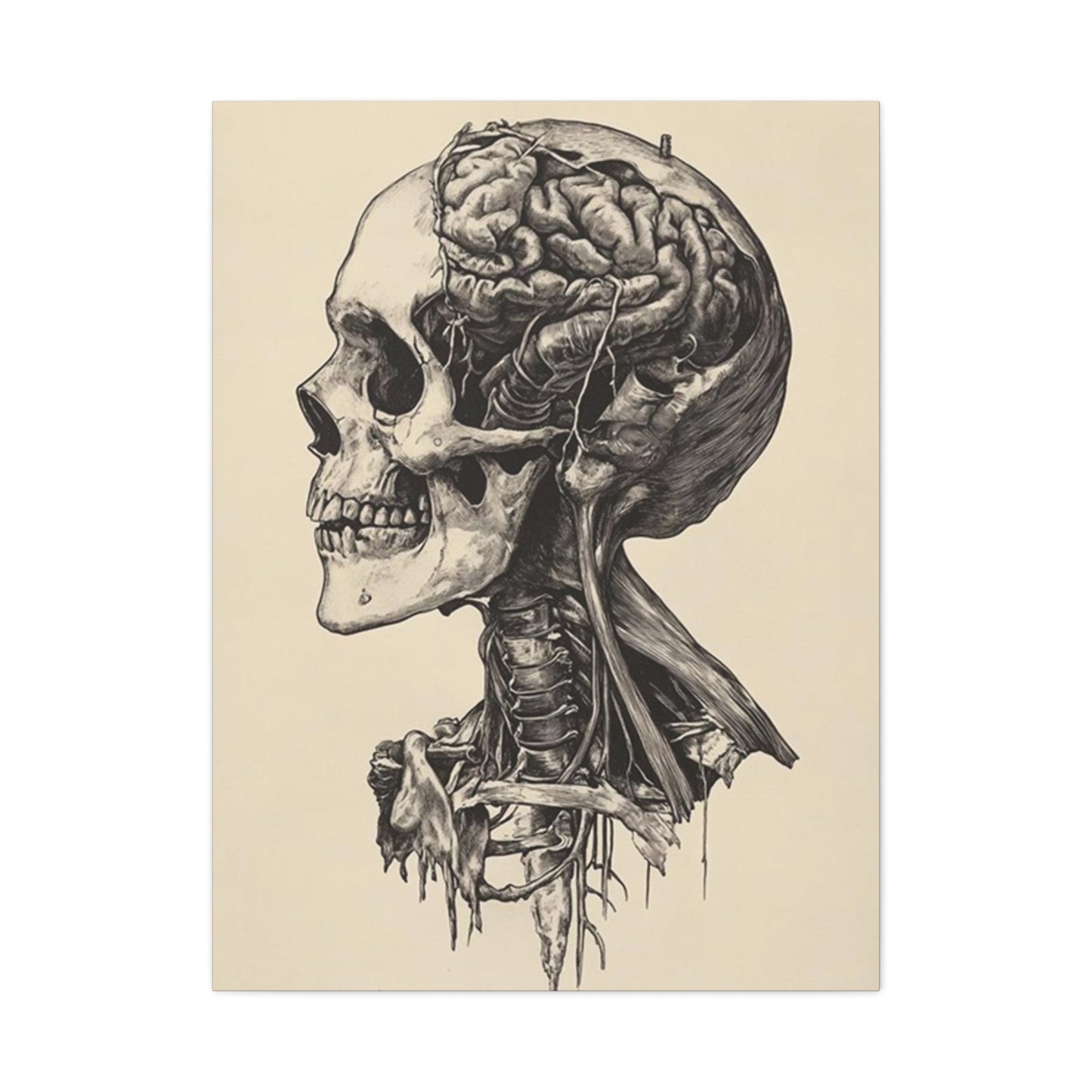 Brain In Skull Wall Art & Canvas Prints