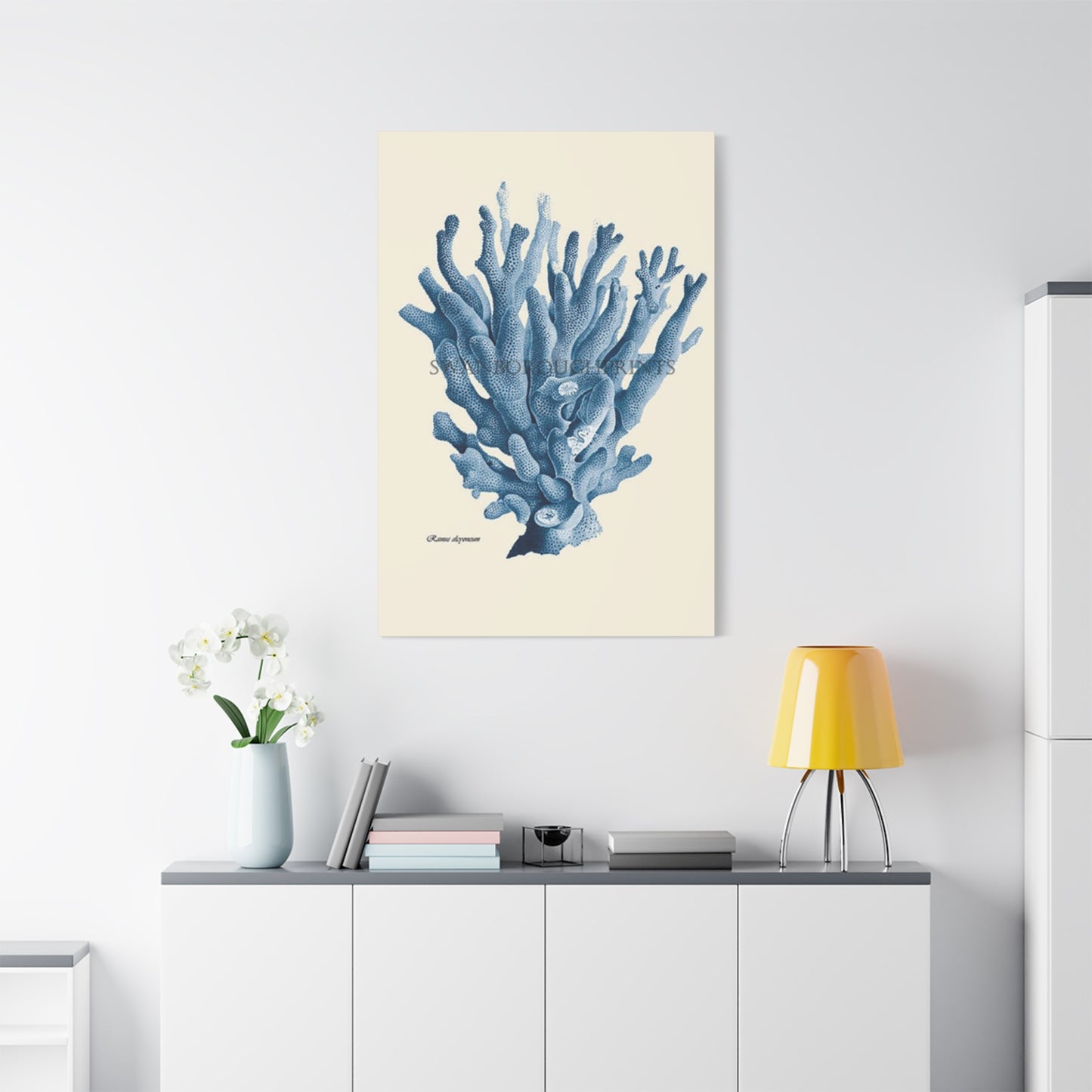 Beautiful Blue Shell Stem Poster Wall Art & Canvas Prints