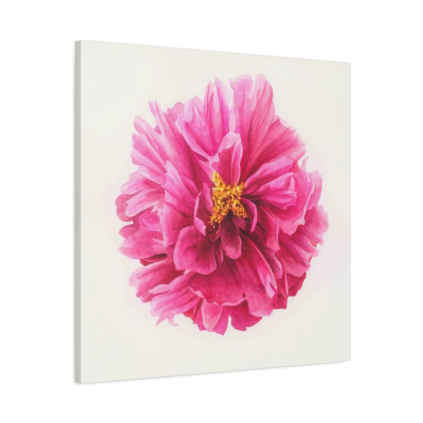 Grace Popp Pink Flower Head Wall Art & Canvas Prints