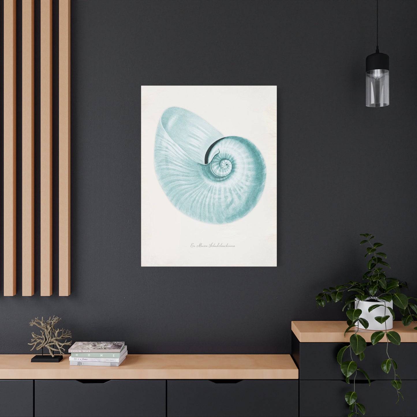 Beautiful Blue Shell Shapes Wall Art & Canvas Prints