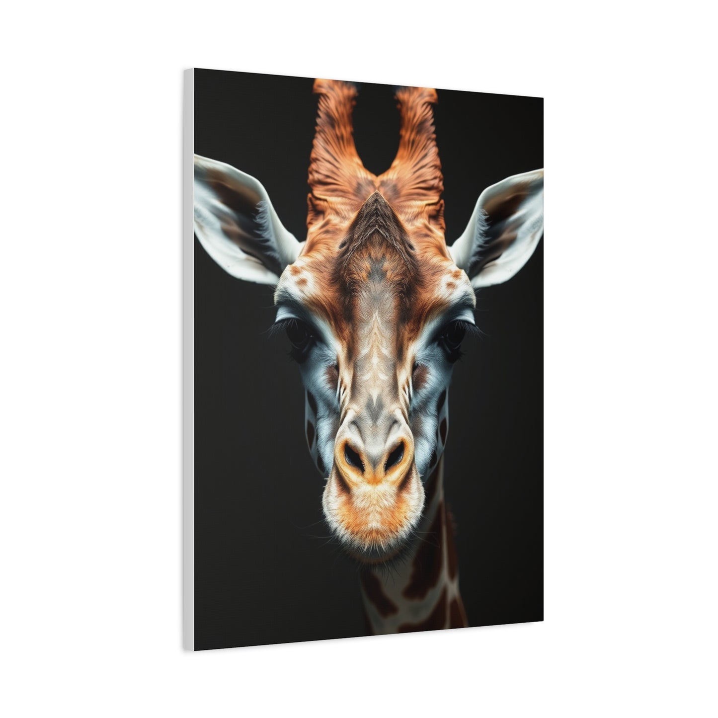 Lofty Silhouette Display wall art & canvas print