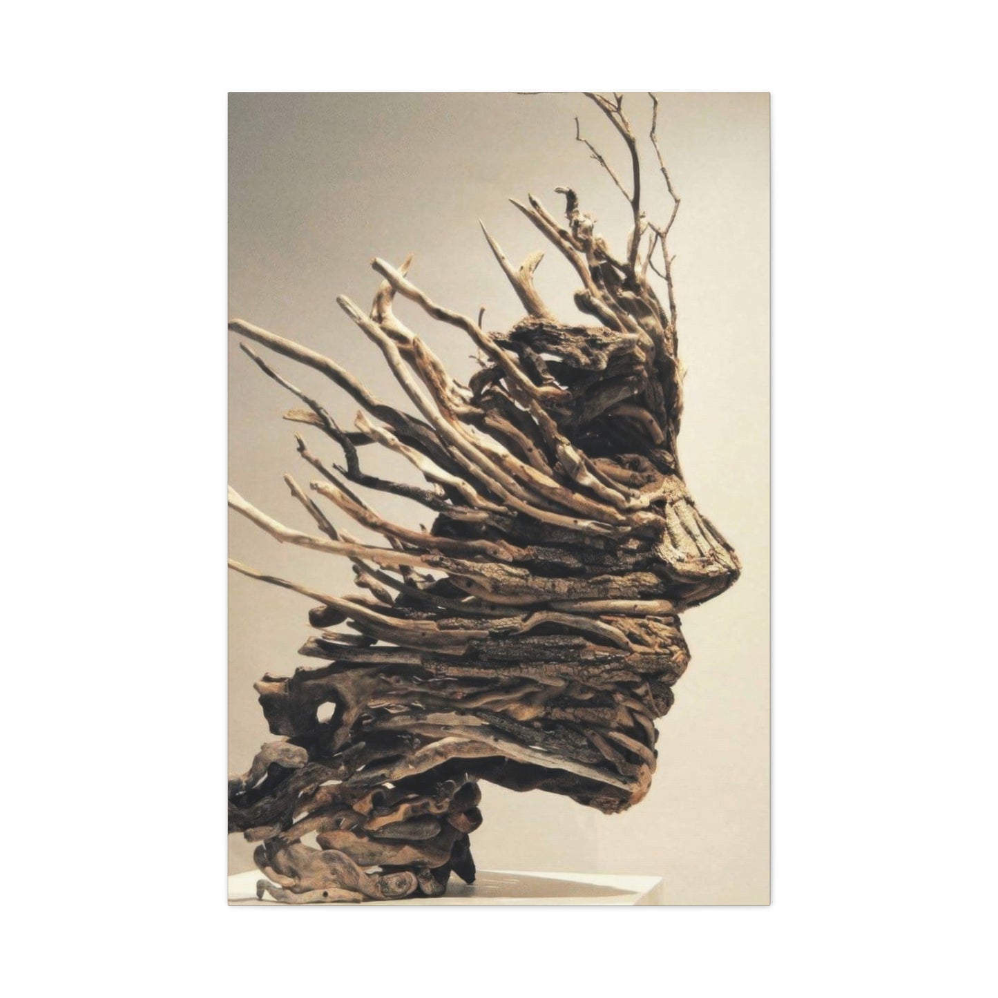 Driftwood Face Wall Art & Canvas Prints