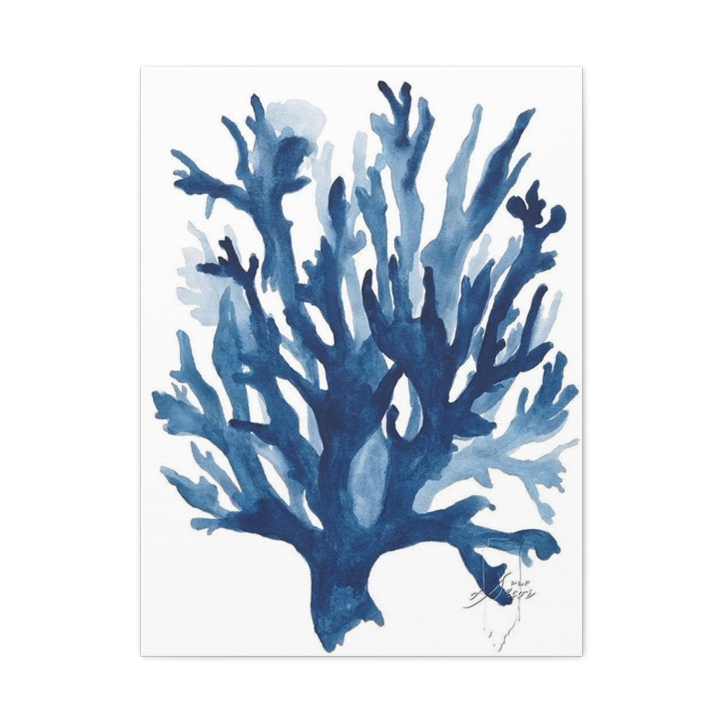 Amazing Sea Shells Stems Poster Wall Art & Canvas Prints