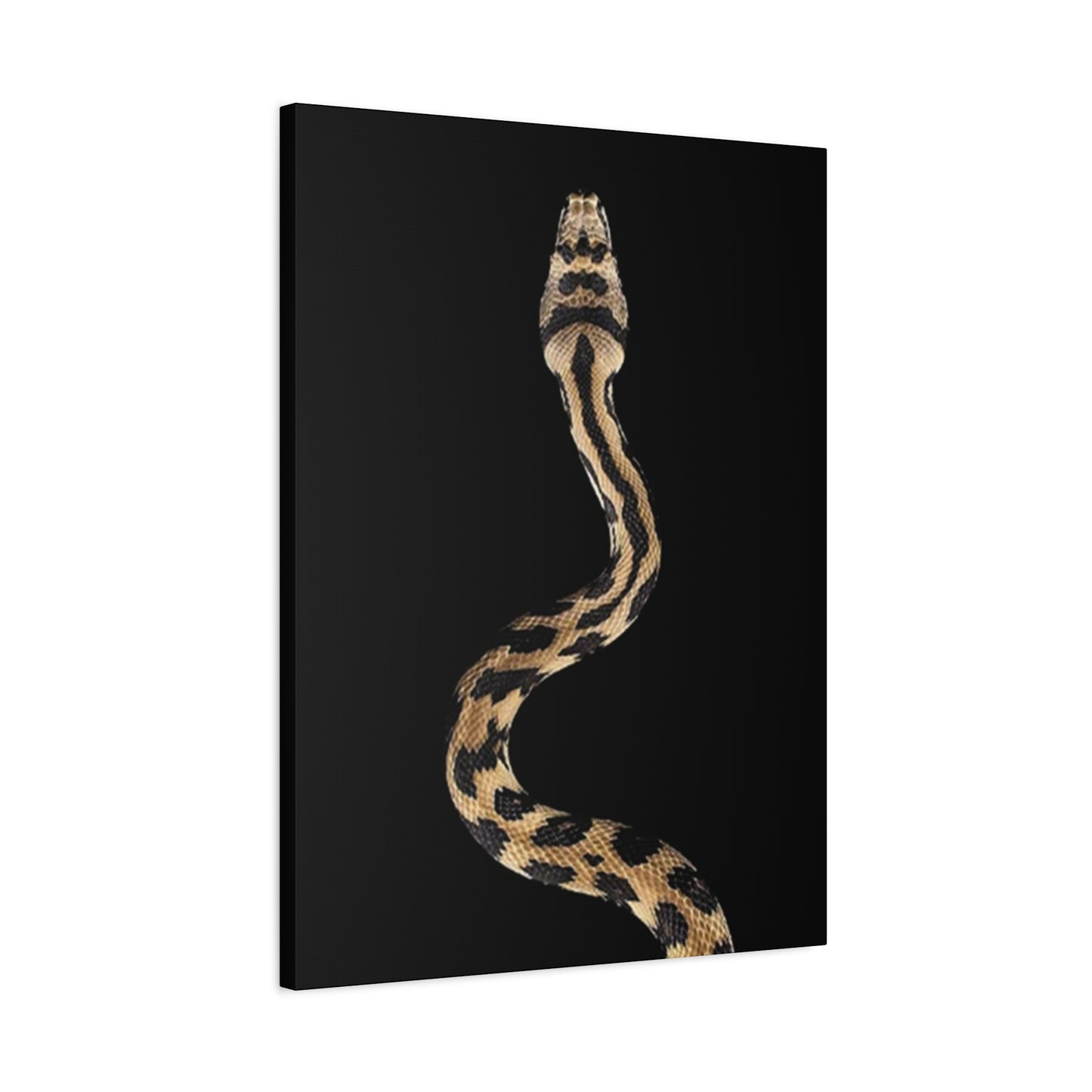 Snake On Poster Wall Art & Canvas Prints