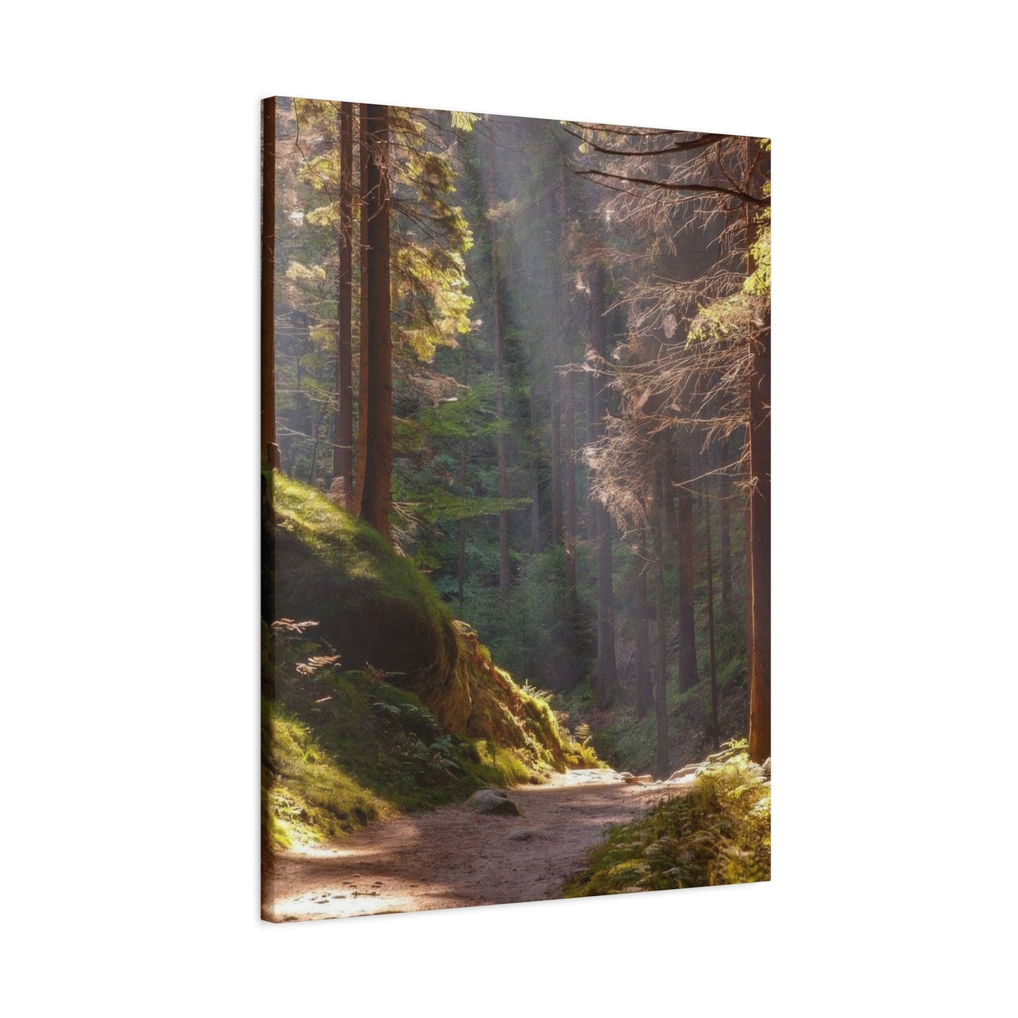 Autumn Forest Path Wall Art & Canvas Prints