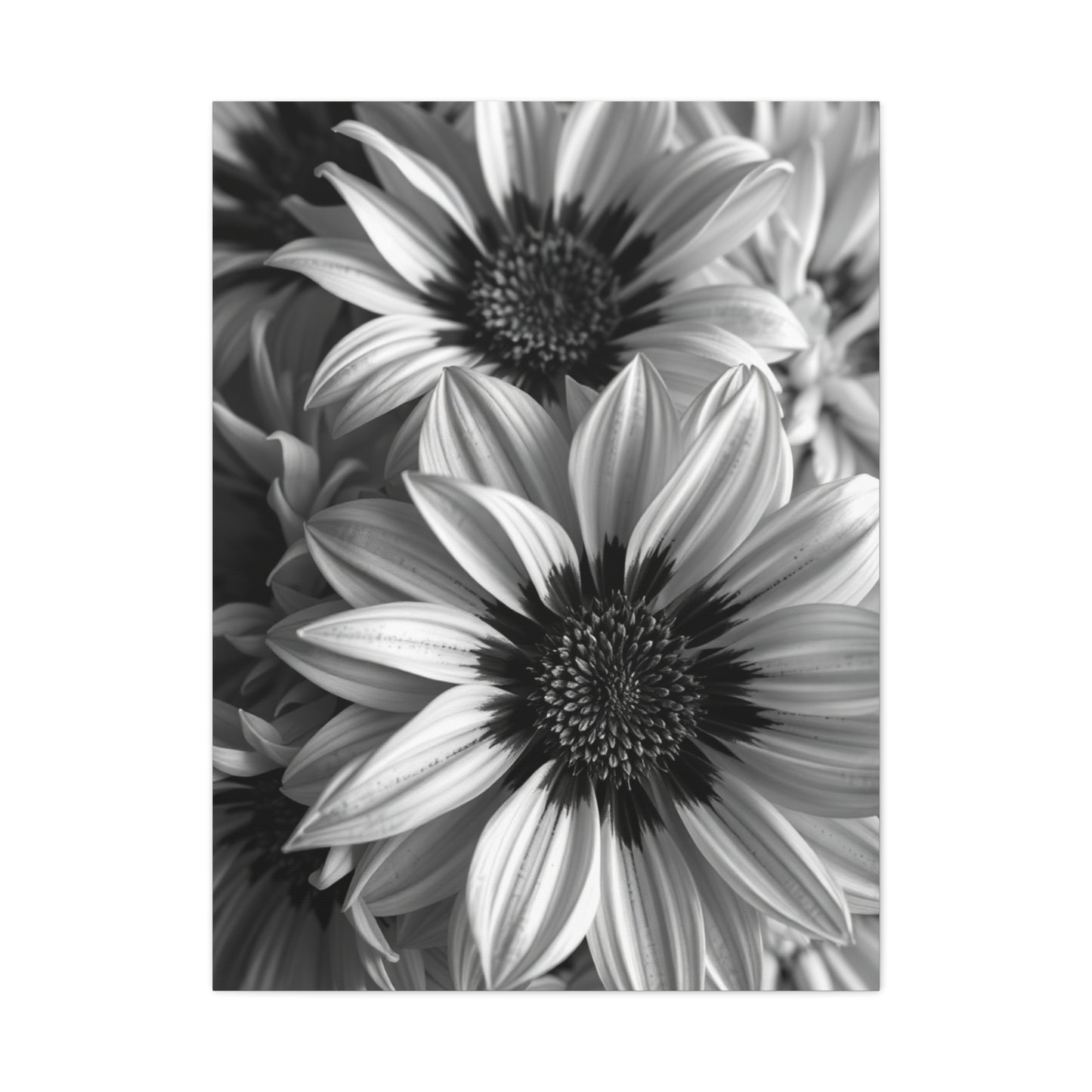 Ebon & Ivory Petal Harmony Wall Art & Canvas Print