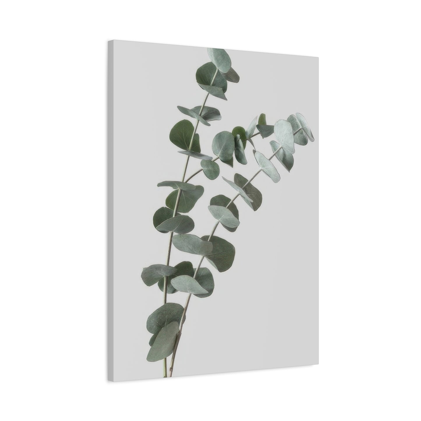 Eucalyptus Plant Dark Green Desaturate Wall Art & Canvas Prints
