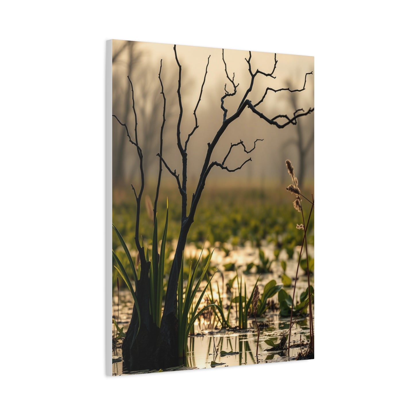 Marsh & Swamp Art Canvas Art 3 Wall Art & Canvas Print
