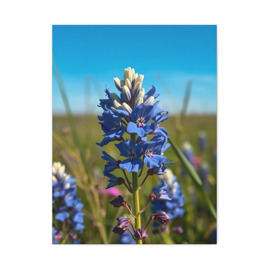 Bluebonnet Flower Art Premium Gallery Wall Art & Canvas Print