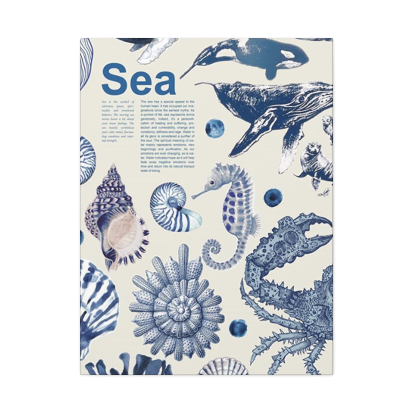 Beautiful Sea Creatures Poster Wall Art & Canvas Prints