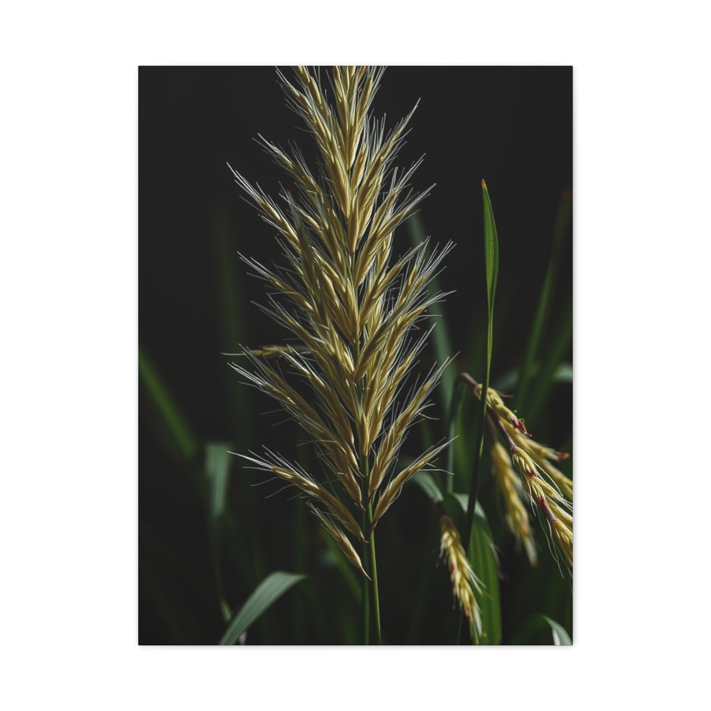 Sophisticated Leafy Display Wall Art & Canvas Print