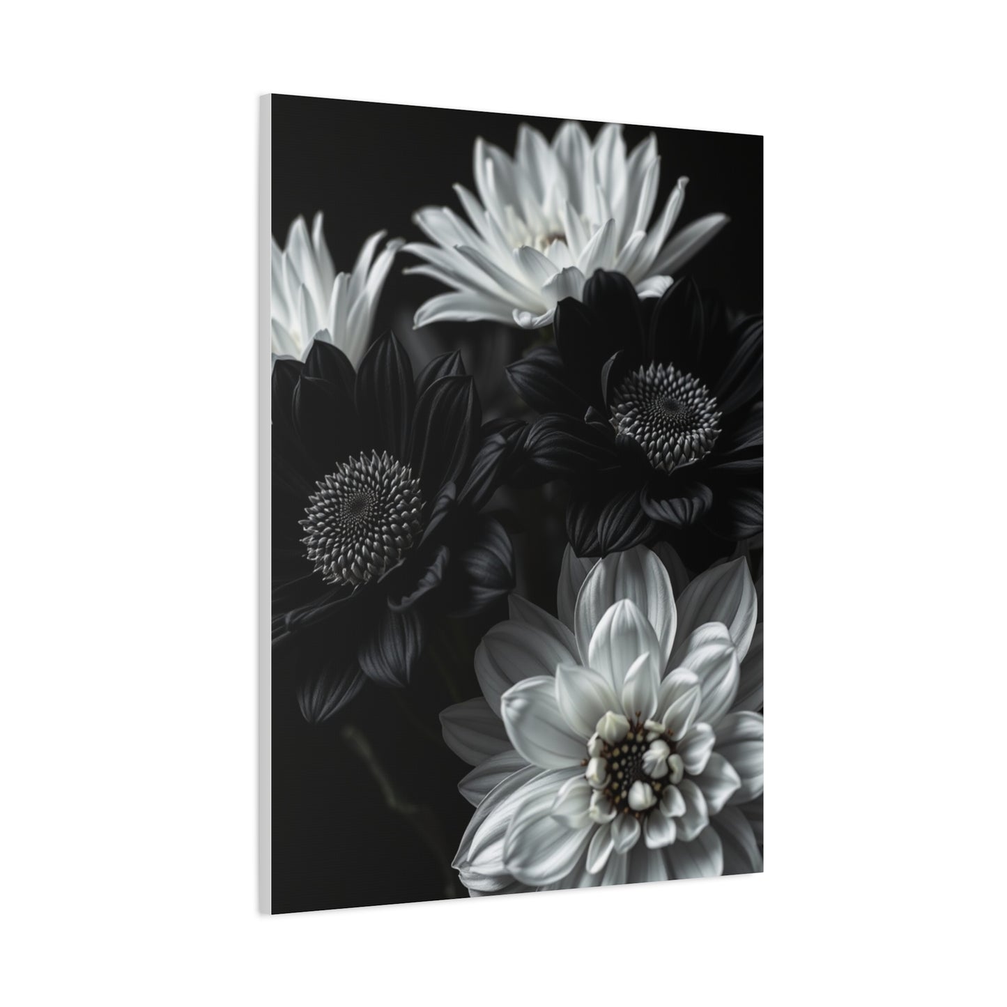 Monochrome Bloom Elegance Wall Art & Canvas Print