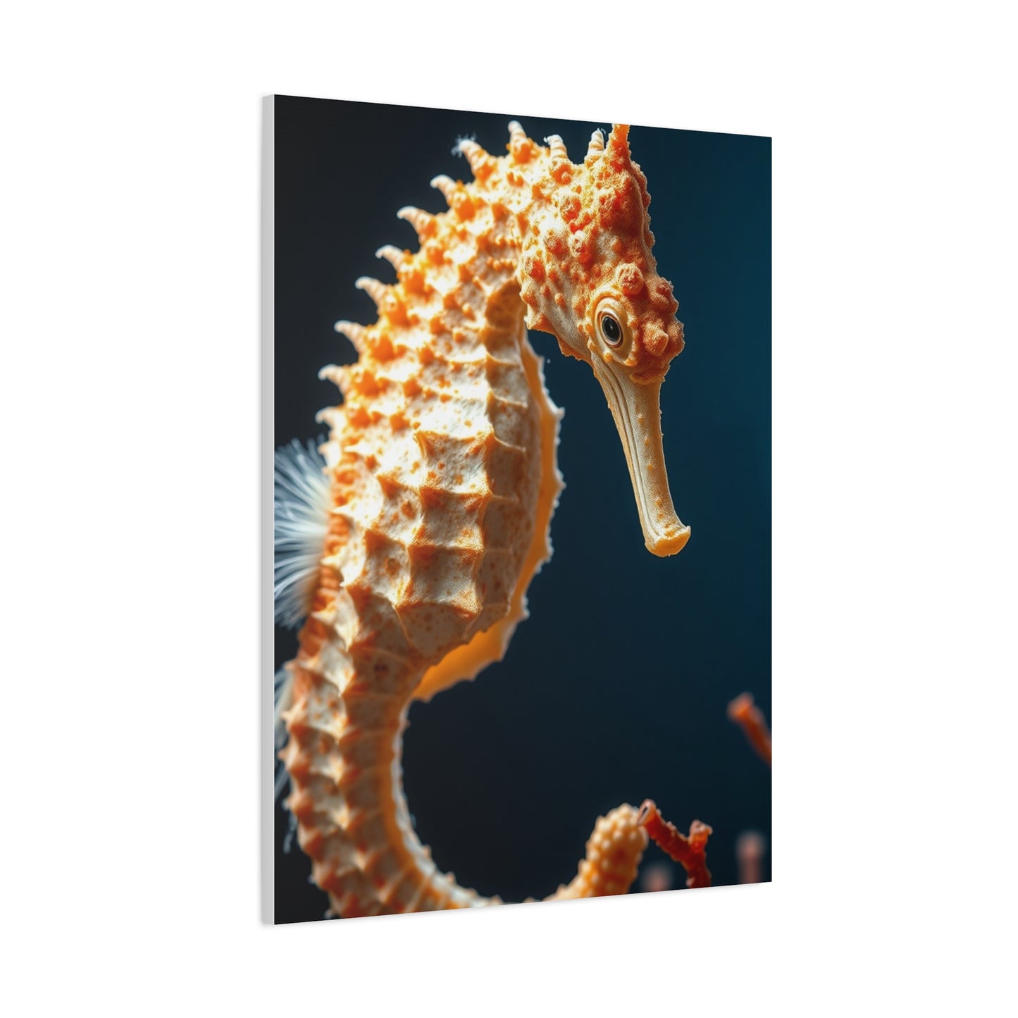 Seahorse Art Canvas Art 3 Wall Art & Canvas Print