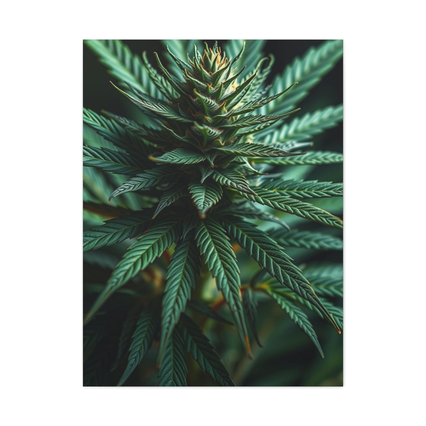 Ethereal Greenscape Art Wall Art & Canvas Print