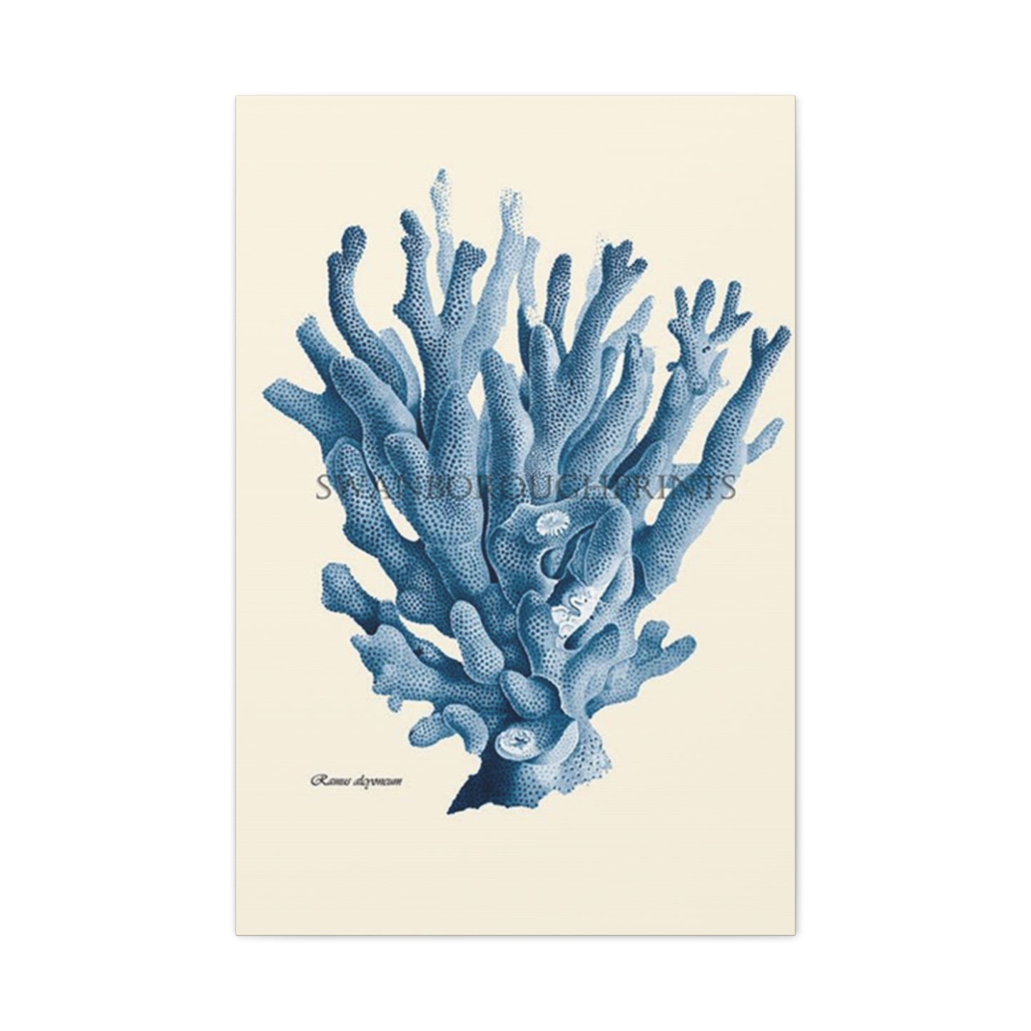 Beautiful Blue Shell Stem Poster Wall Art & Canvas Prints