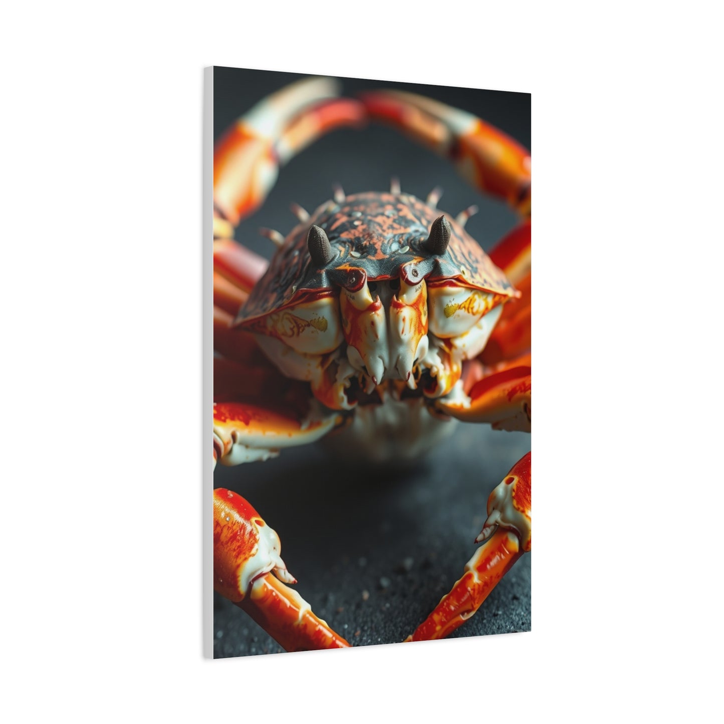 Regal Shell Symphony Art Wall Art & Canvas Print