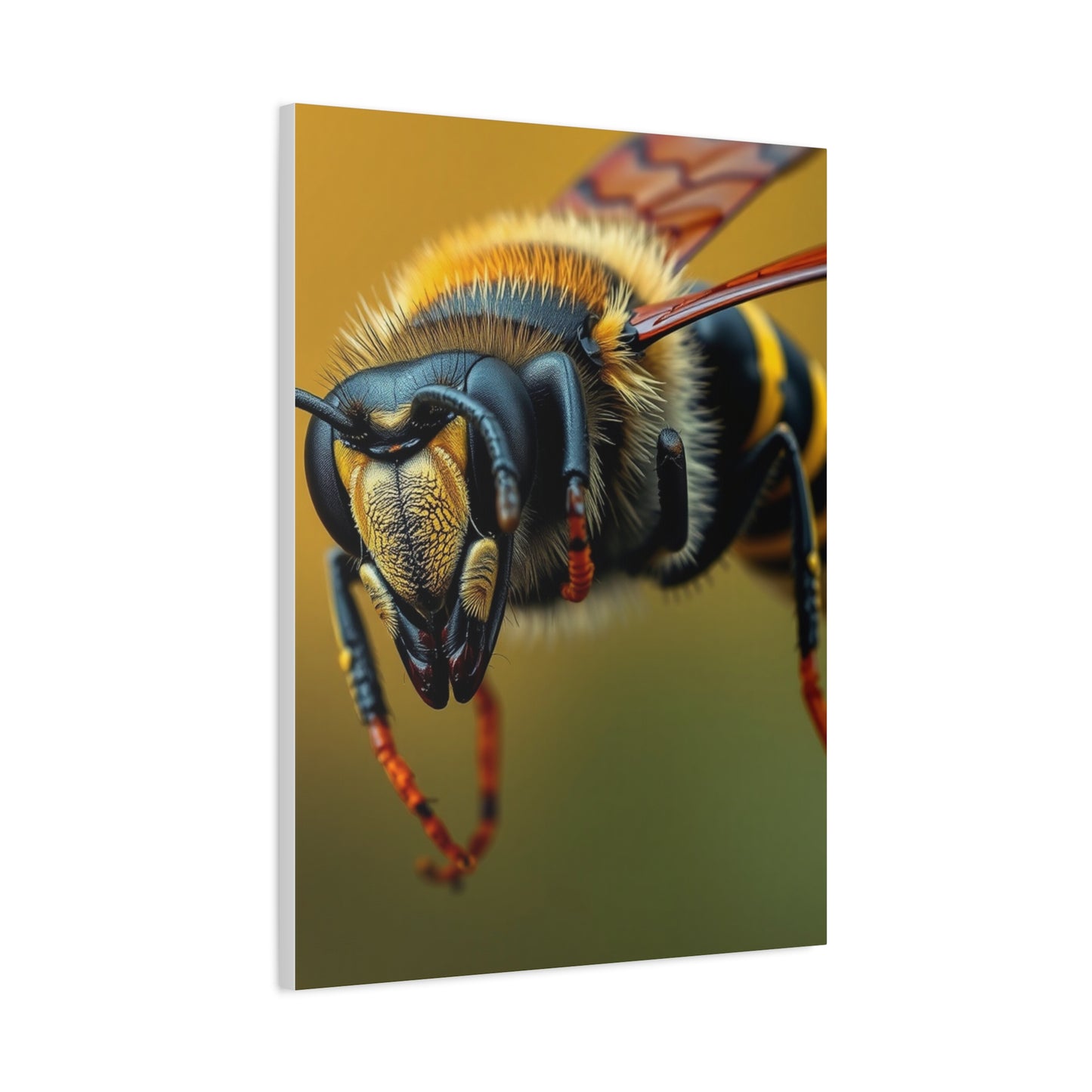 Bees, Hornet & Wasps Art Canvas Art 1 Wall Art & Canvas Print