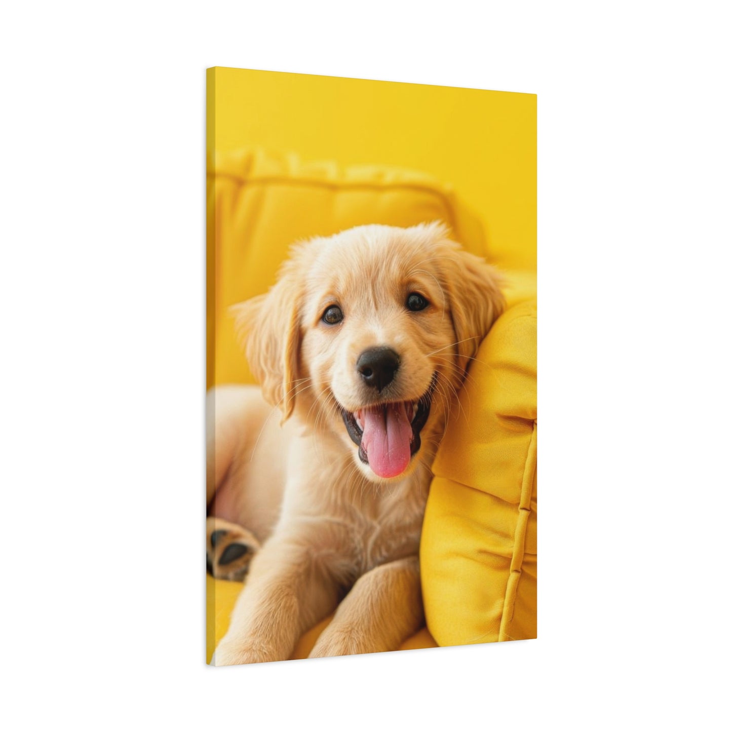 Golden Retriever On Sofa Dog Wall Art & Canvas Prints