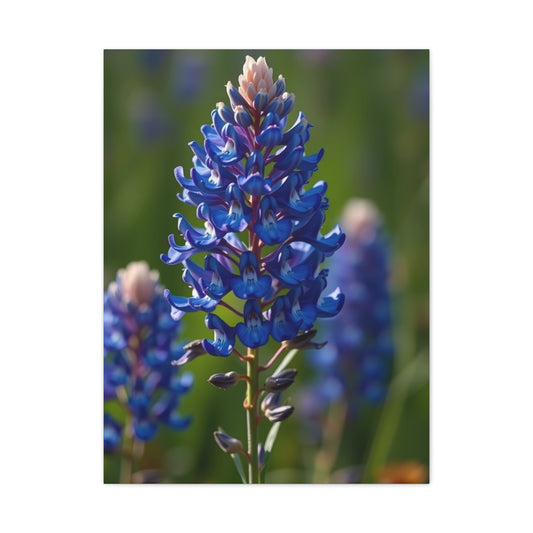 Bluebonnet Flower Art Refined Canvas Wall Art & Canvas Print