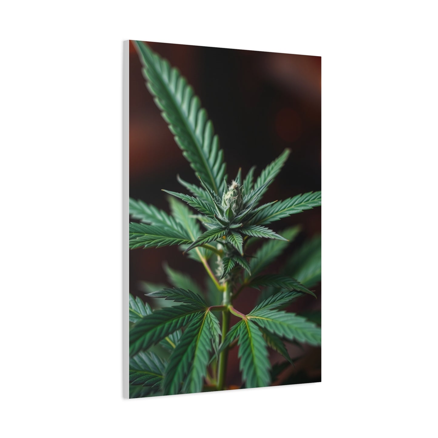 Marijuana Art Premium Canvas 20 Wall Art & Canvas Print