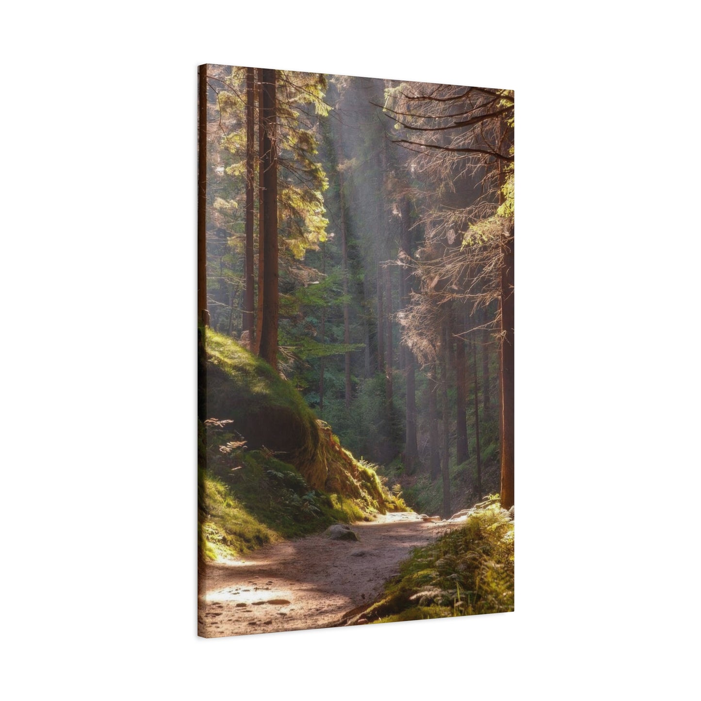 Autumn Forest Path Wall Art & Canvas Prints