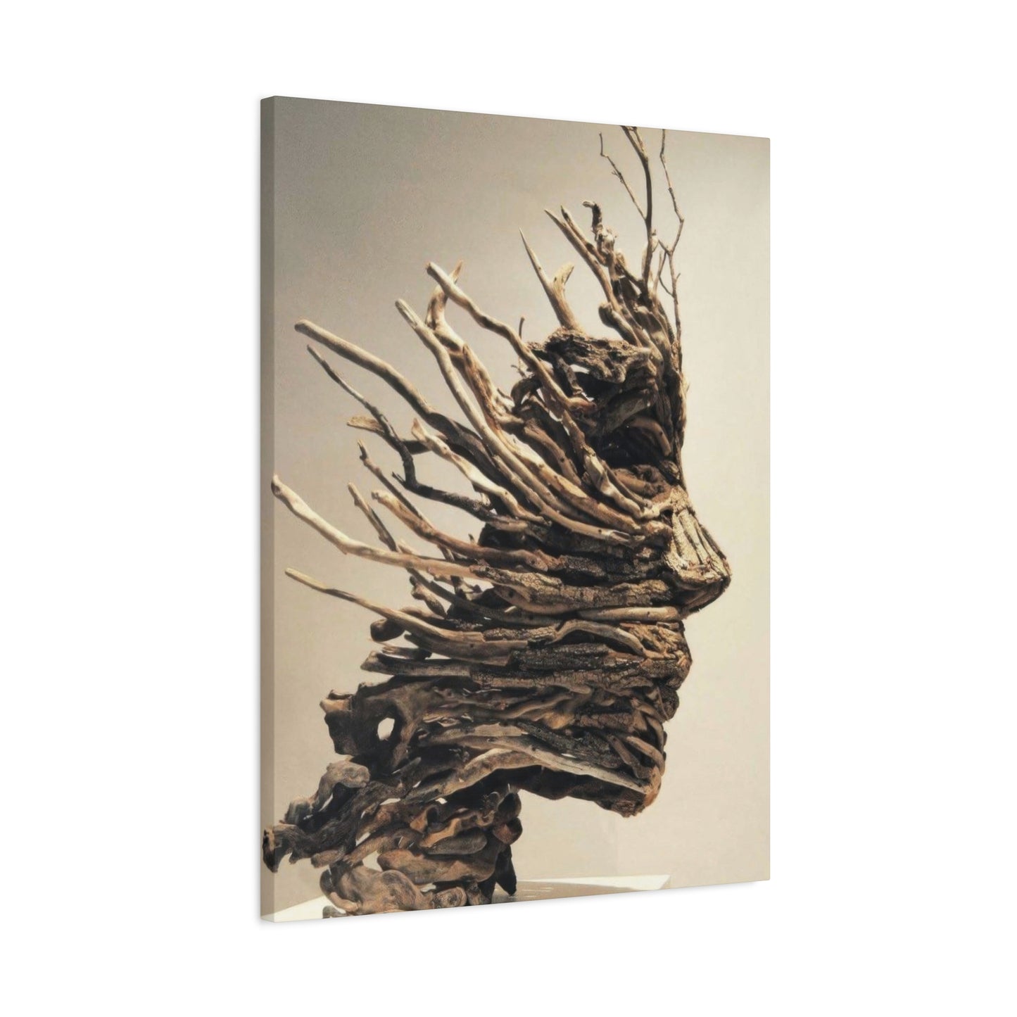 Driftwood Face Wall Art & Canvas Prints