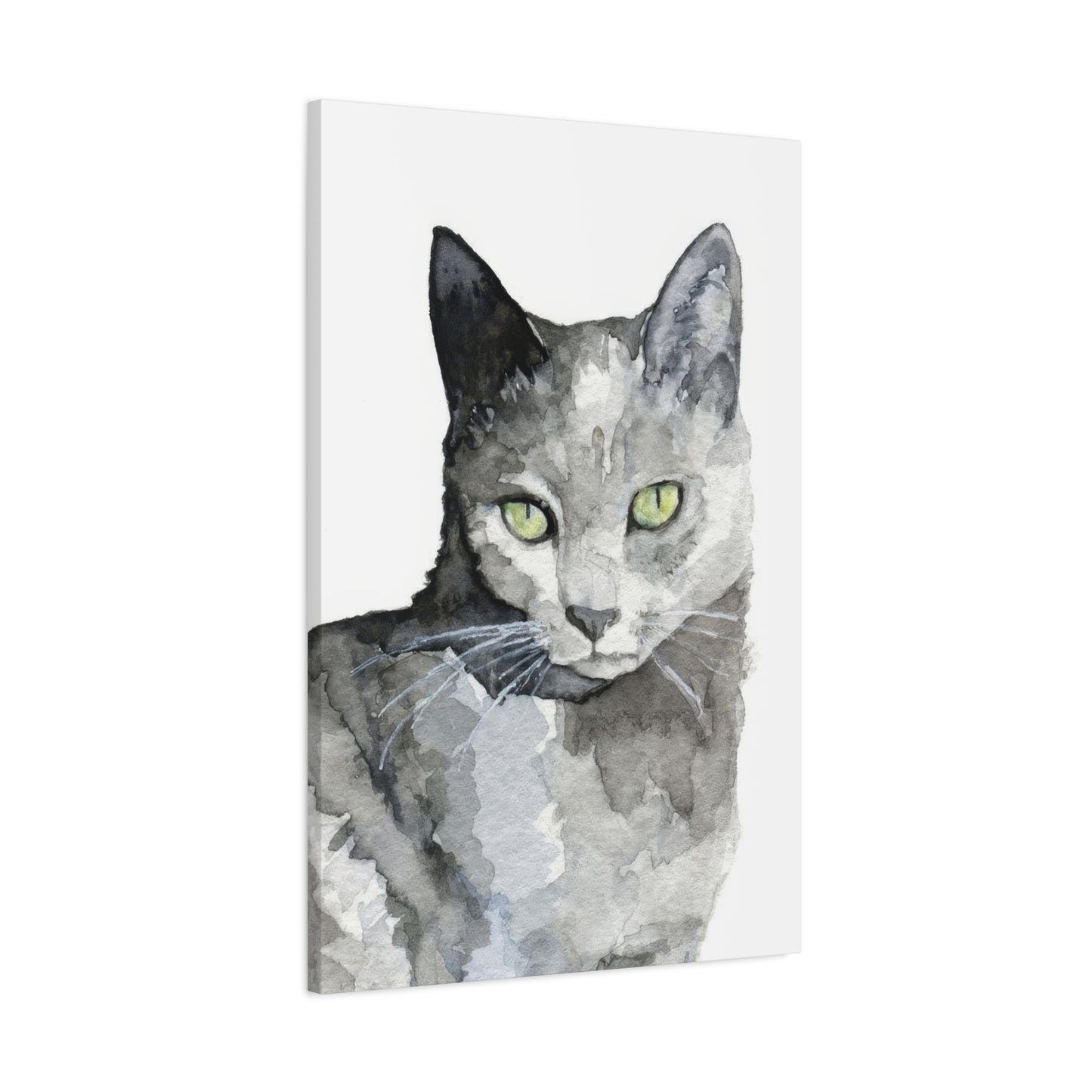 Cat Grey Wall Art & Canvas Prints