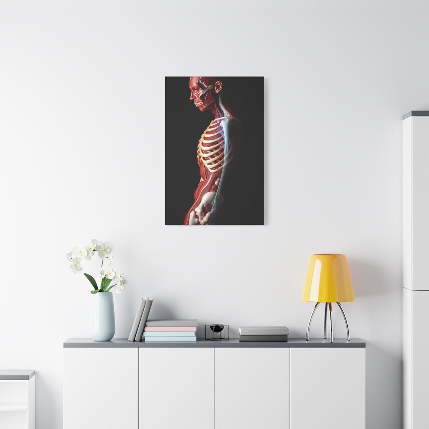 Supreme Art Collection Anatomy Wall Art & Canvas Print