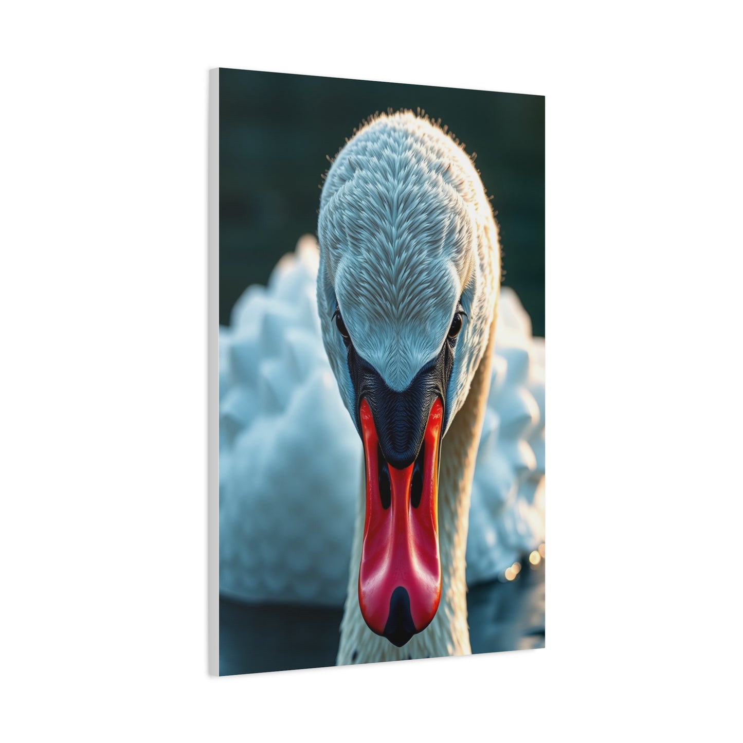 Swan Art Canvas Art 9 Wall Art & Canvas Print